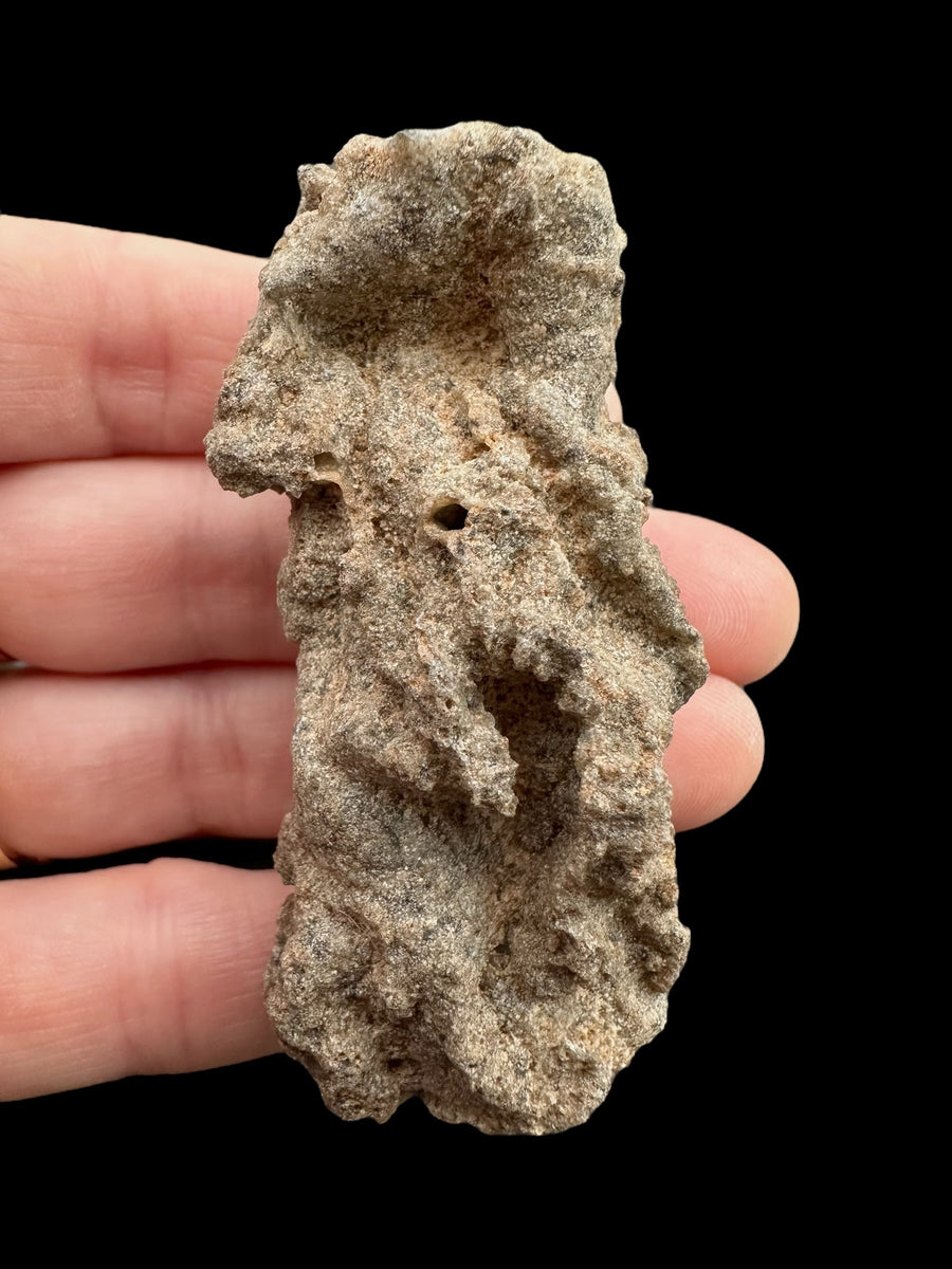 Fulgurite grezzo del deserto libico, tubo di sabbia fusa beige-grigio con fori e rilievi