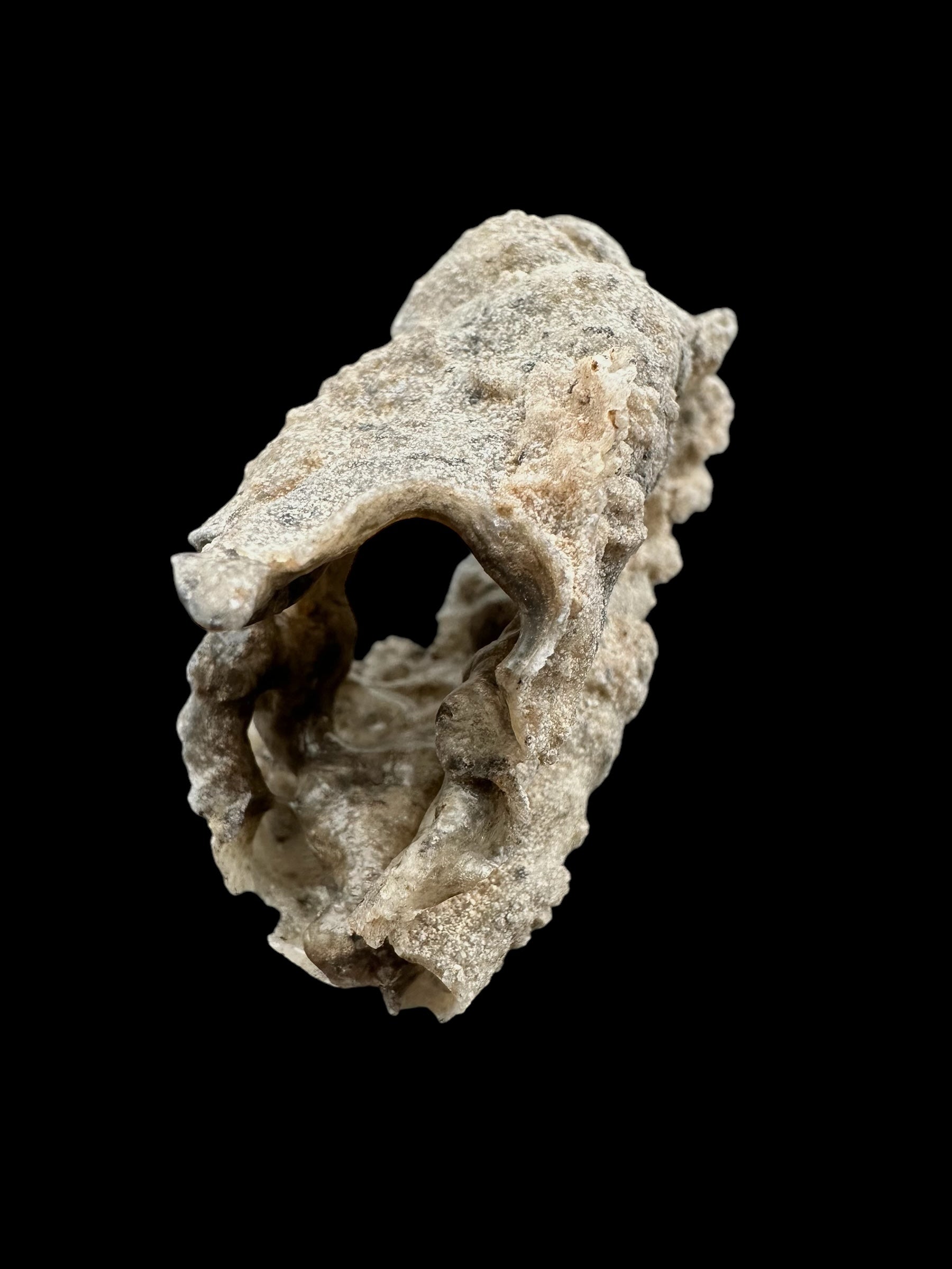 Fulgurite 13,3g – Libyan desert, Egypt - FU021