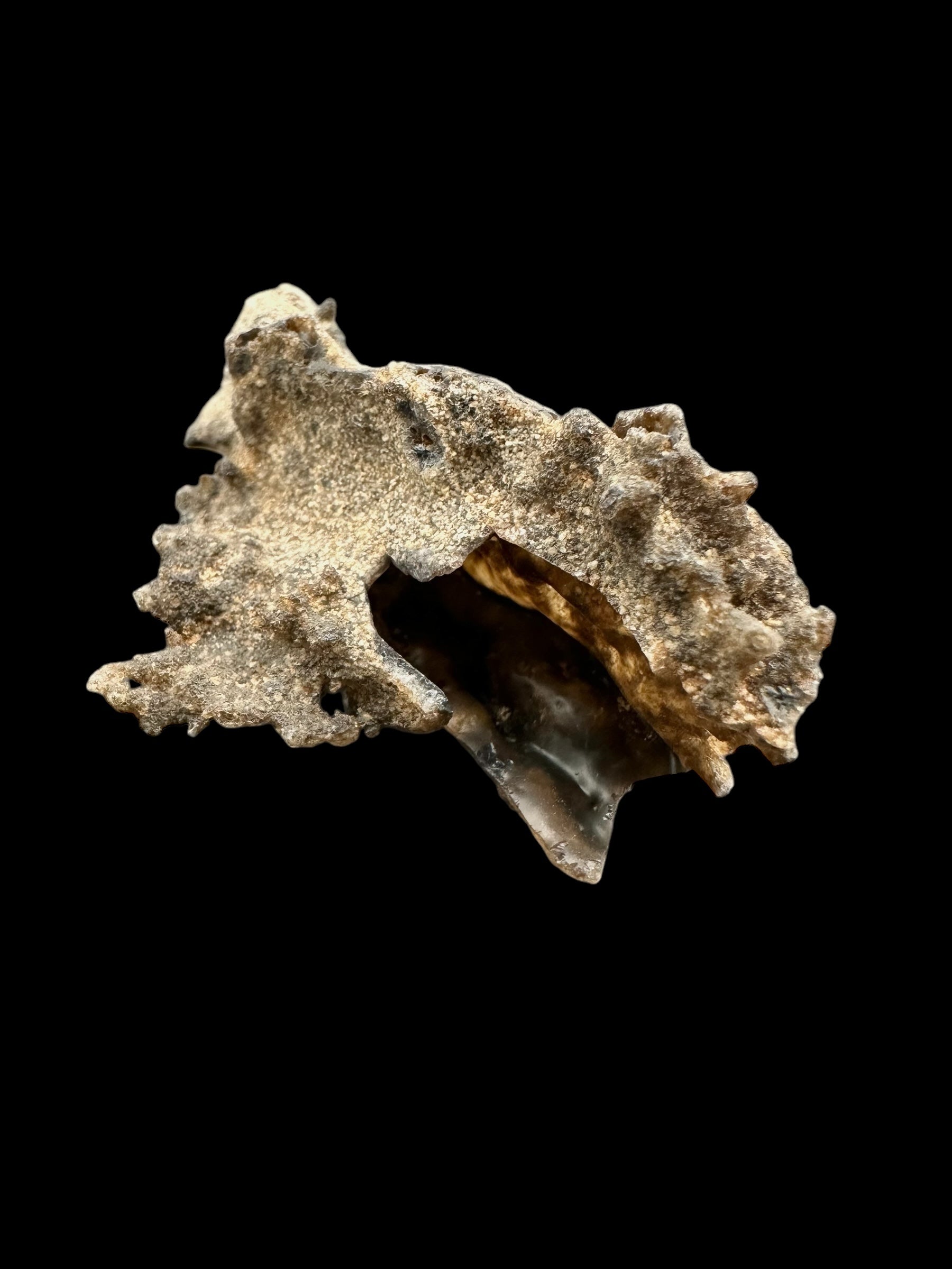 Fulgurite 5,7g – Libyan desert, Egypt - FU022