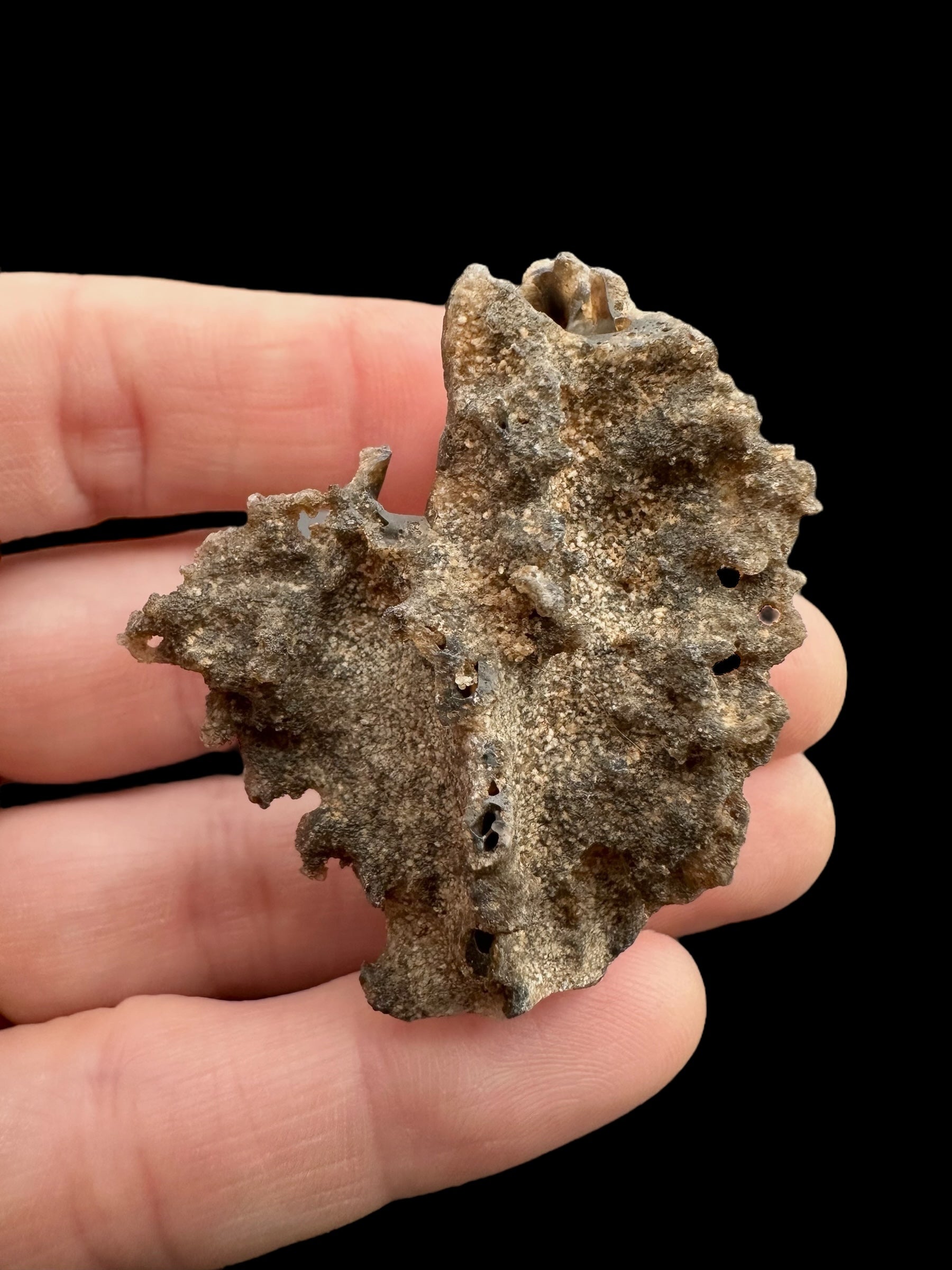 Fulgurite 5,7g – Libyan desert, Egypt