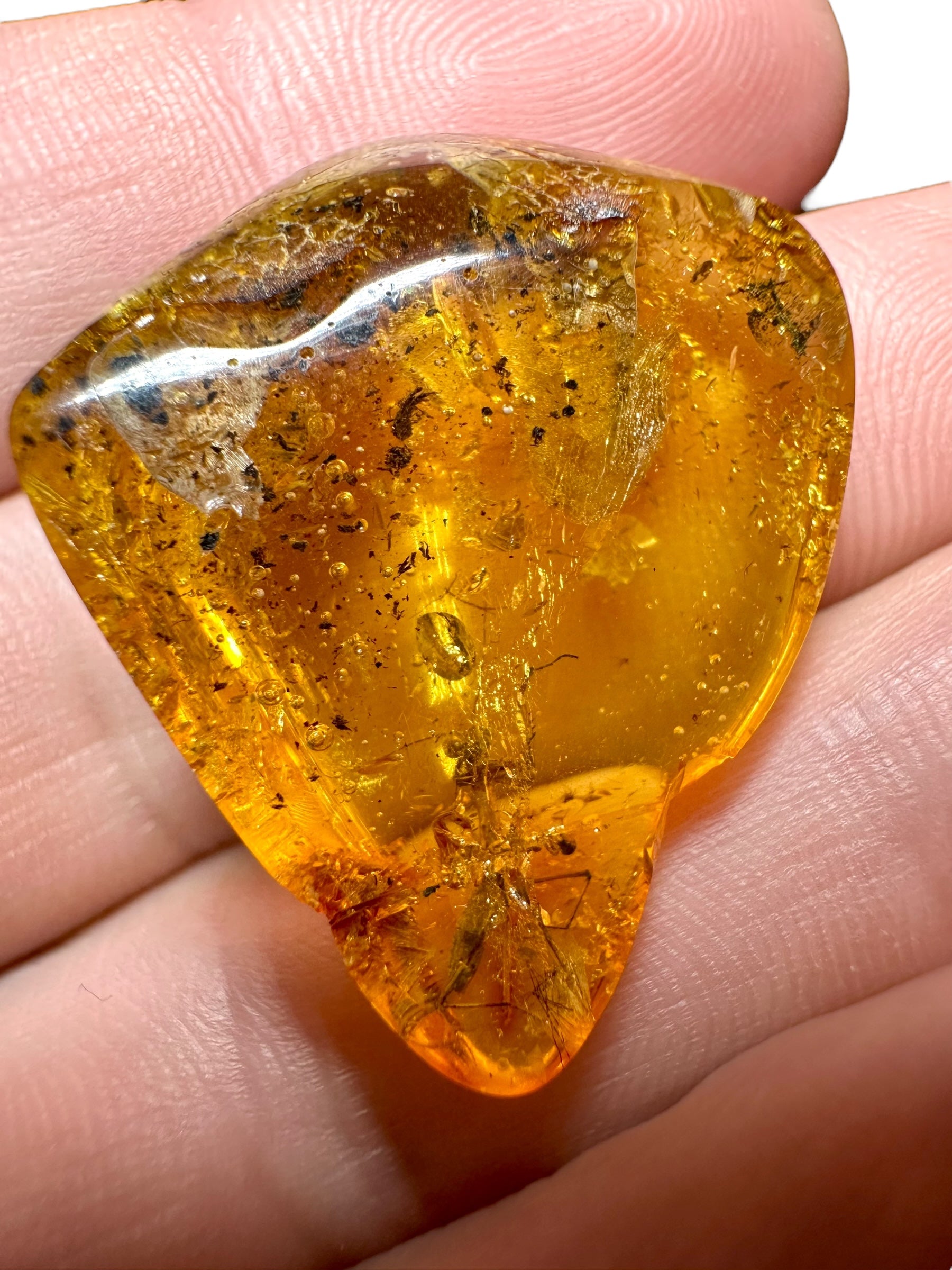 Mantis in amber – Rivne, Ukraine - IJ001