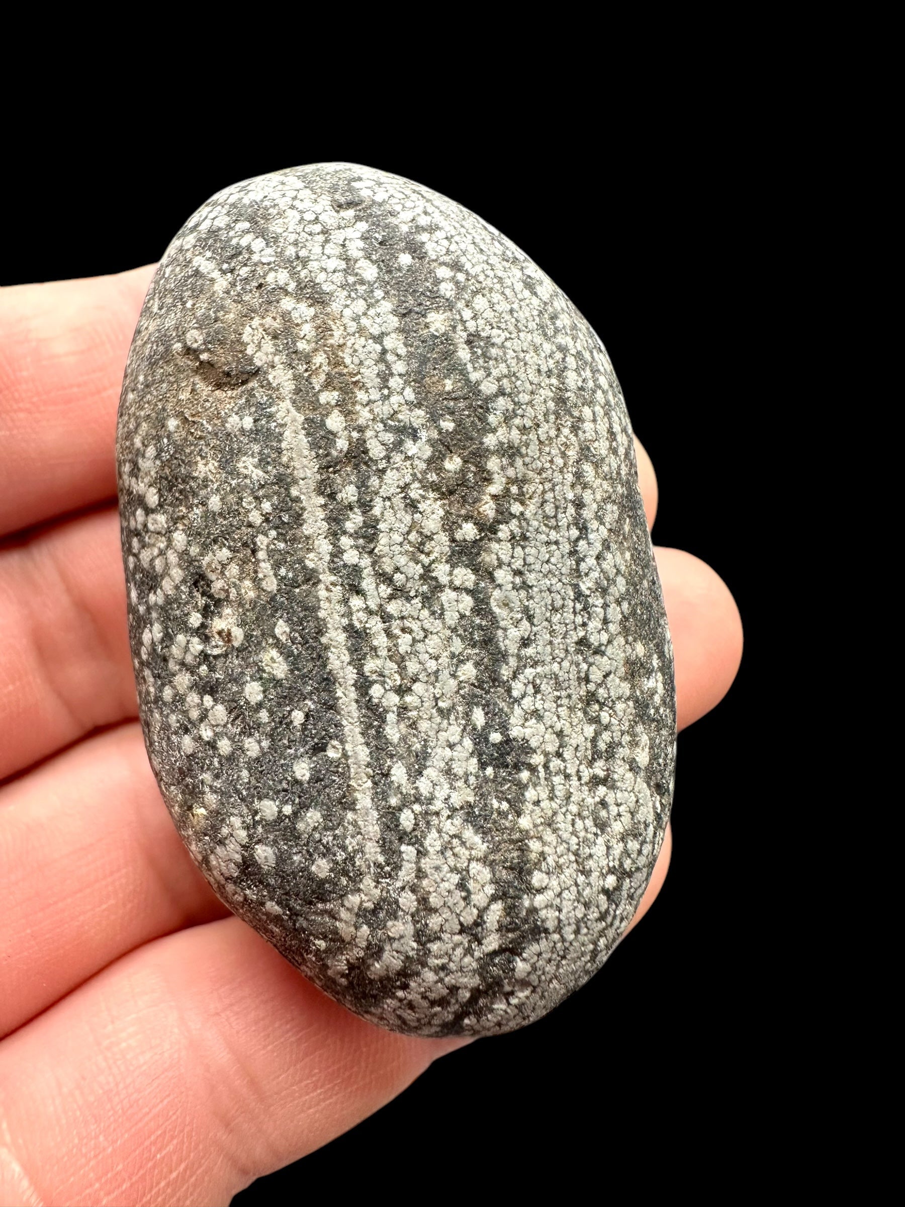 Javan flake obsidian 59g – Java, Indonesia - VO001