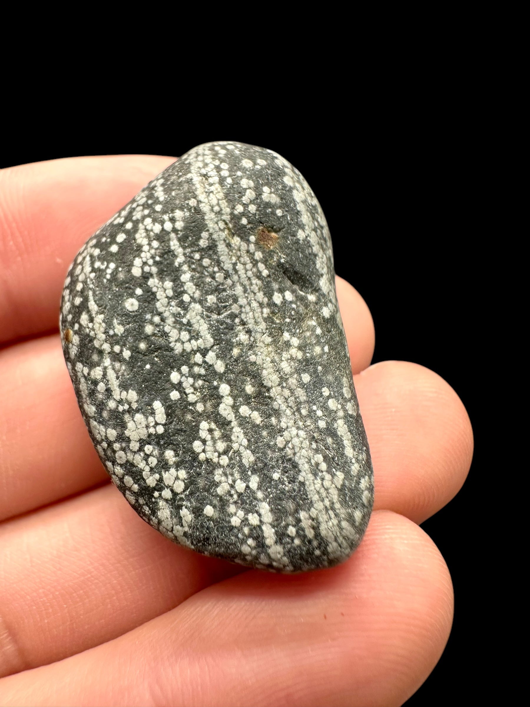 Javan flake obsidian 15,6g – Java, Indonesia - VO002