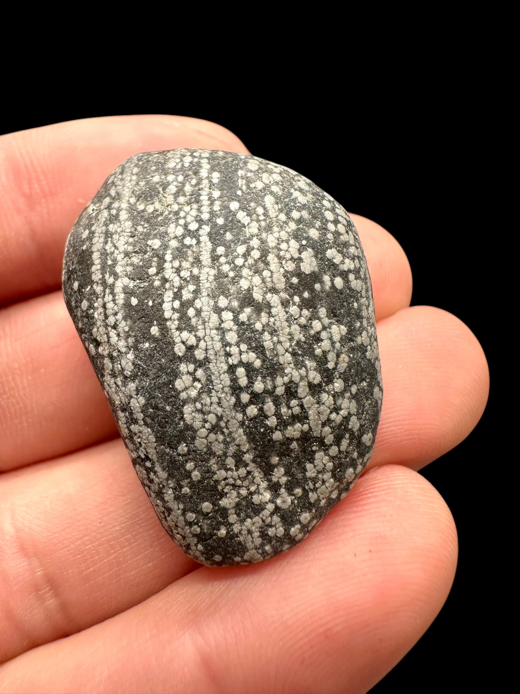 Javan flake obsidian 15,6g – Java, Indonesia