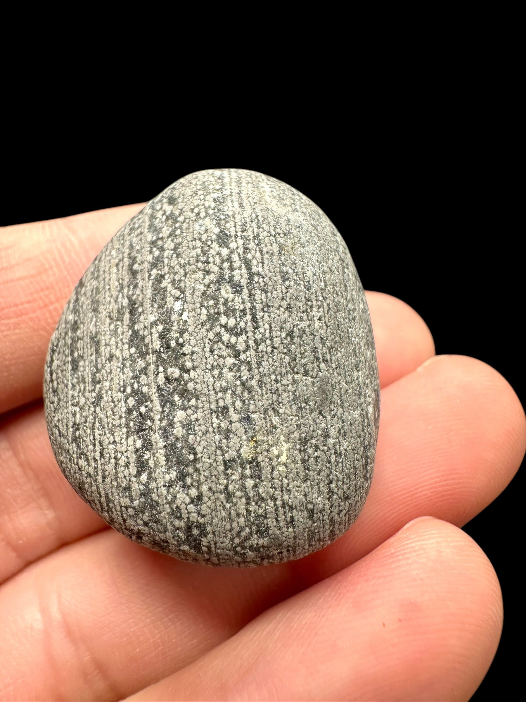 Javan flake obsidian 22g – Java, Indonesia - VO004