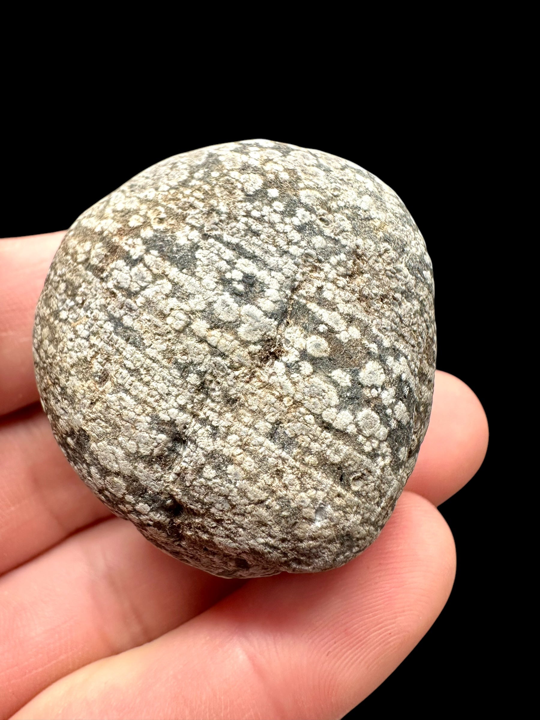 Javan flake obsidian 50,4g – Java, Indonesia - VO011