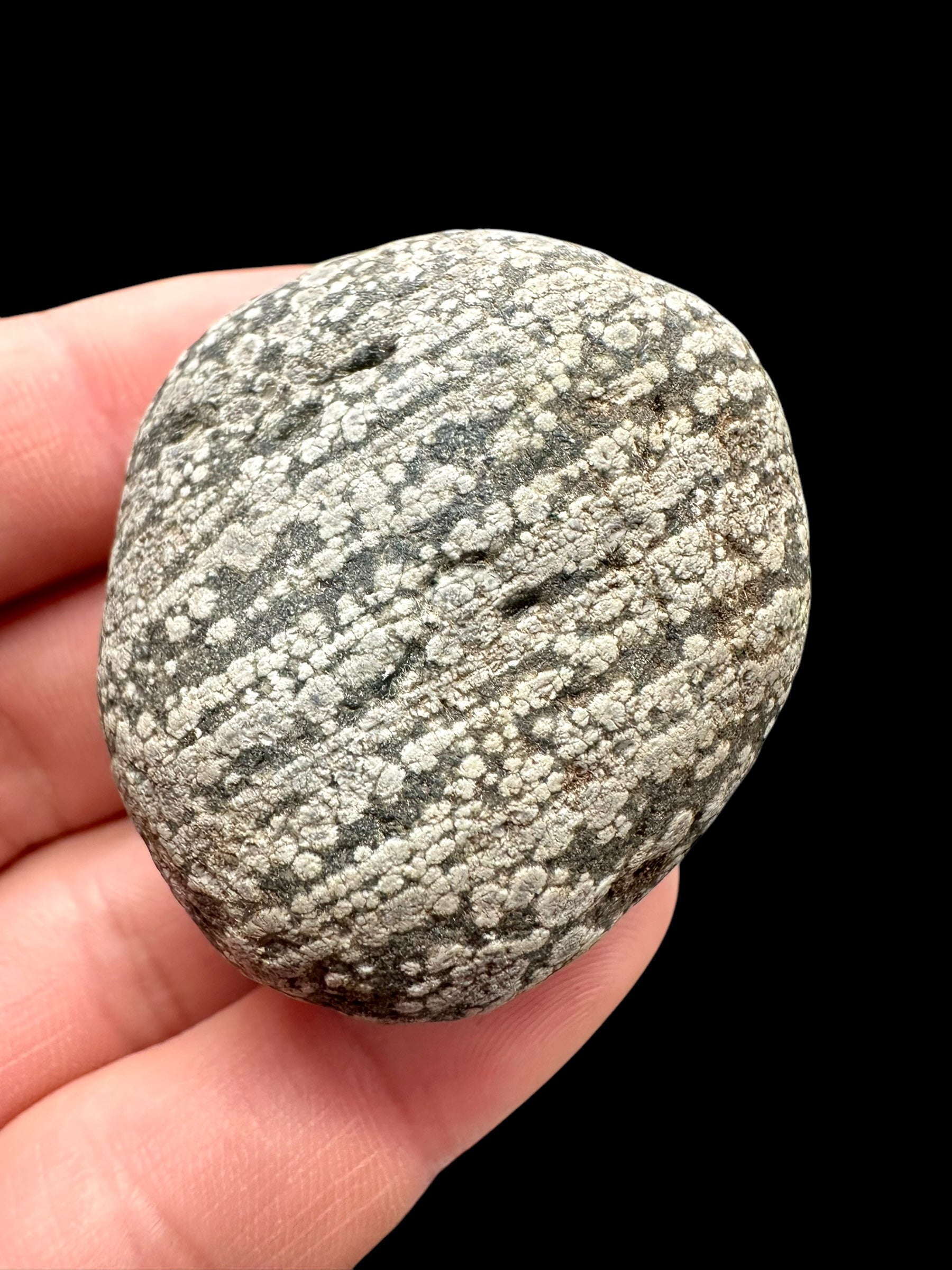 Javan flake obsidian 50,4g – Java, Indonesia