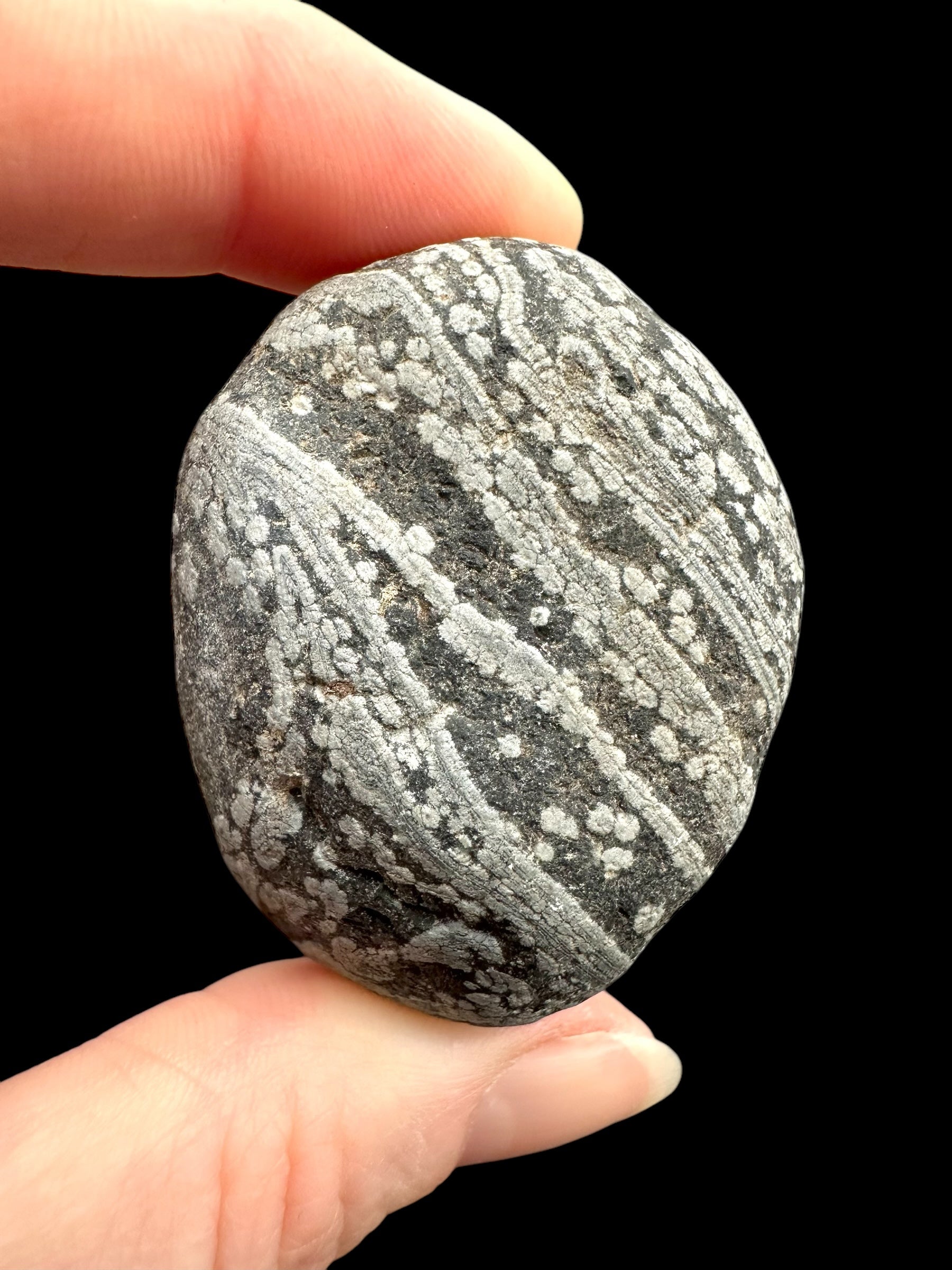 Javan flake obsidian 57,2g – Java, Indonesia - VO016