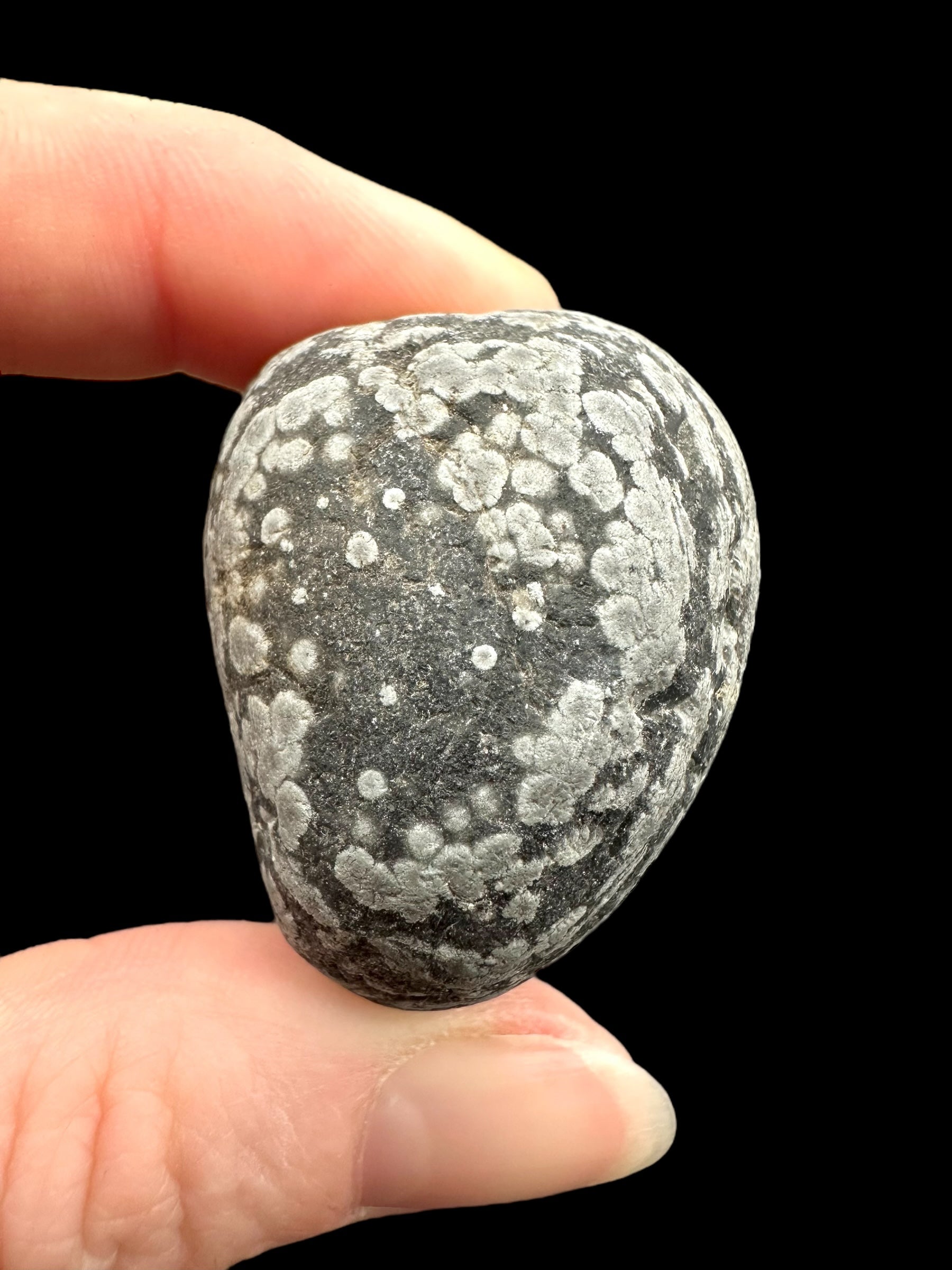 Javan flake obsidian 41,5g – Java, Indonesia - VO018