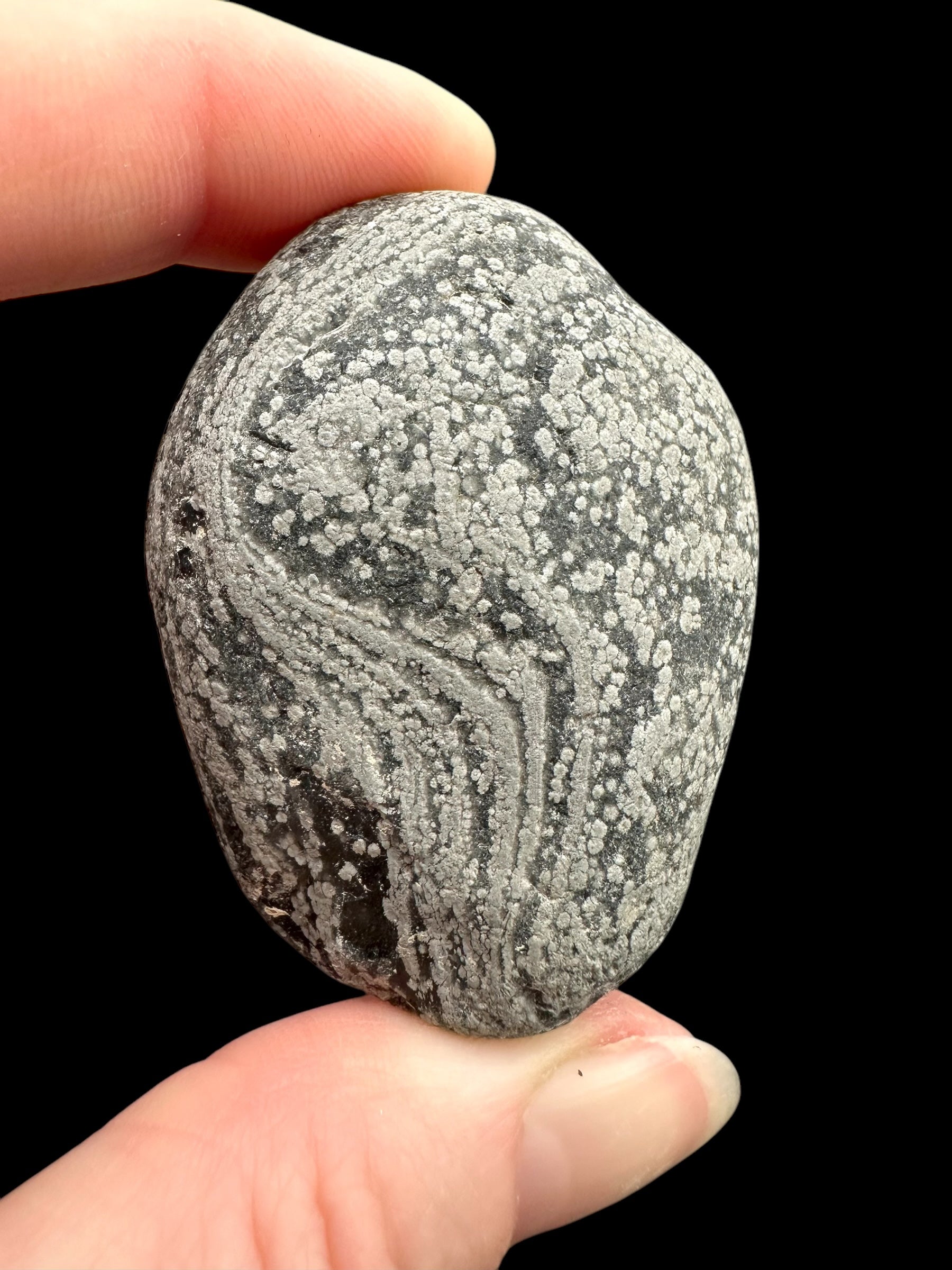Javan flake obsidian 64,5g – Java, Indonesia - VO019