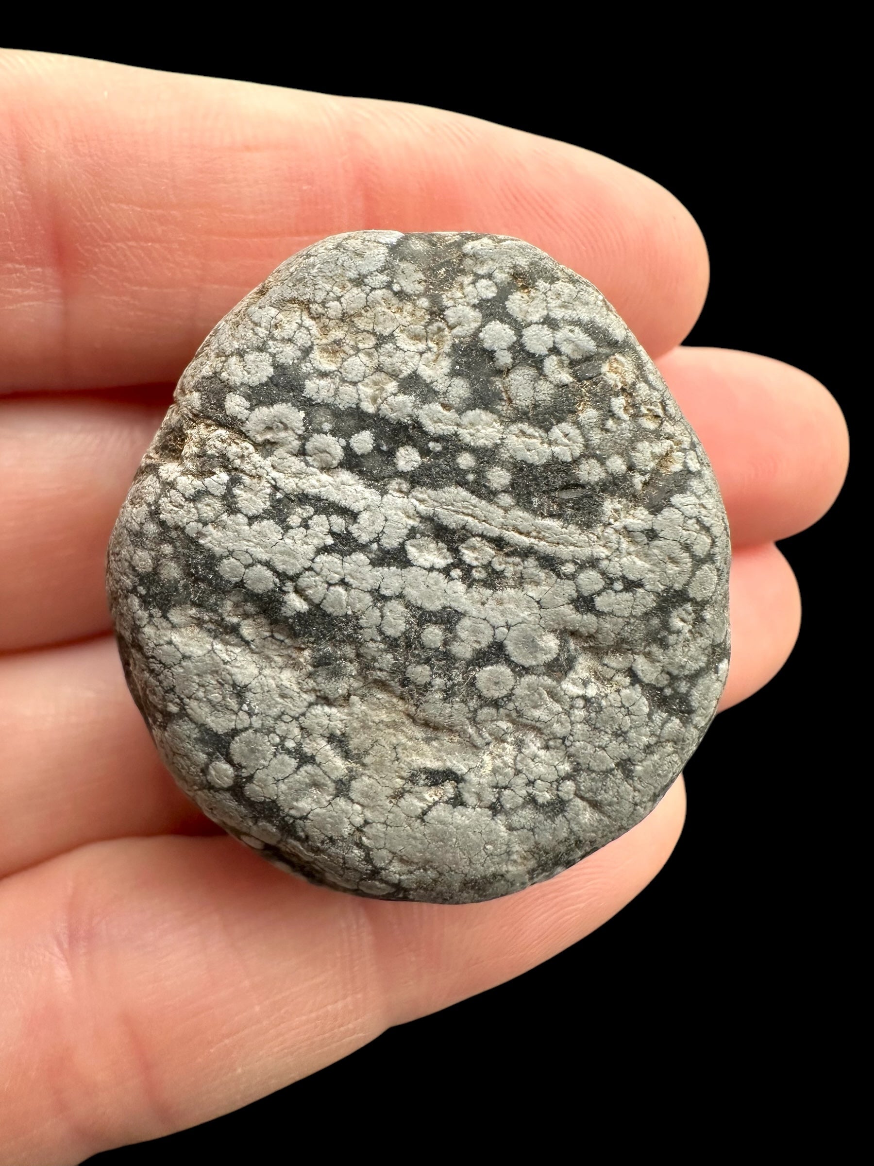 Javan flake obsidian 22,3g – Java, Indonesia - VO020