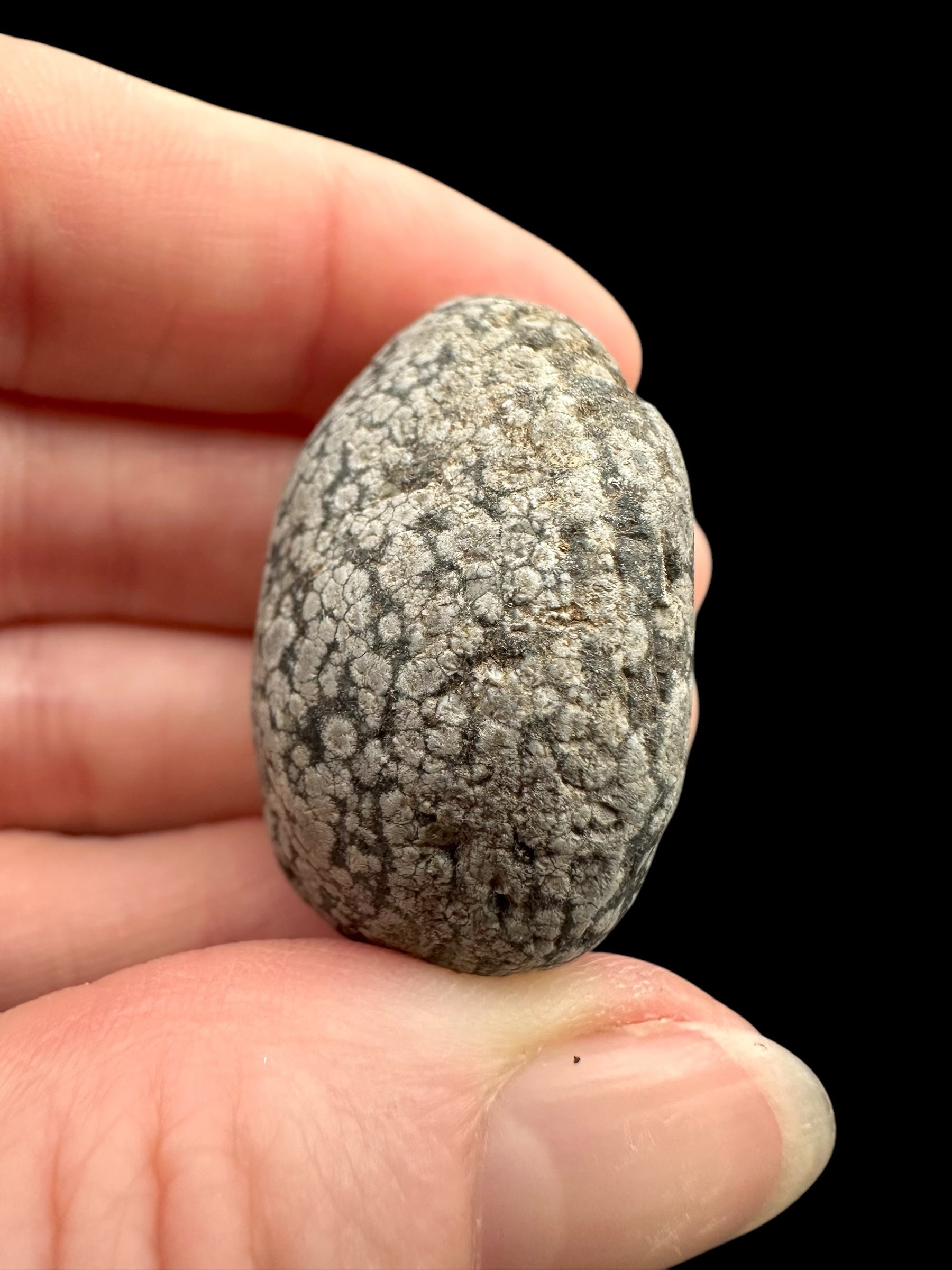 Javan flake obsidian 22,3g – Java, Indonesia - VO020