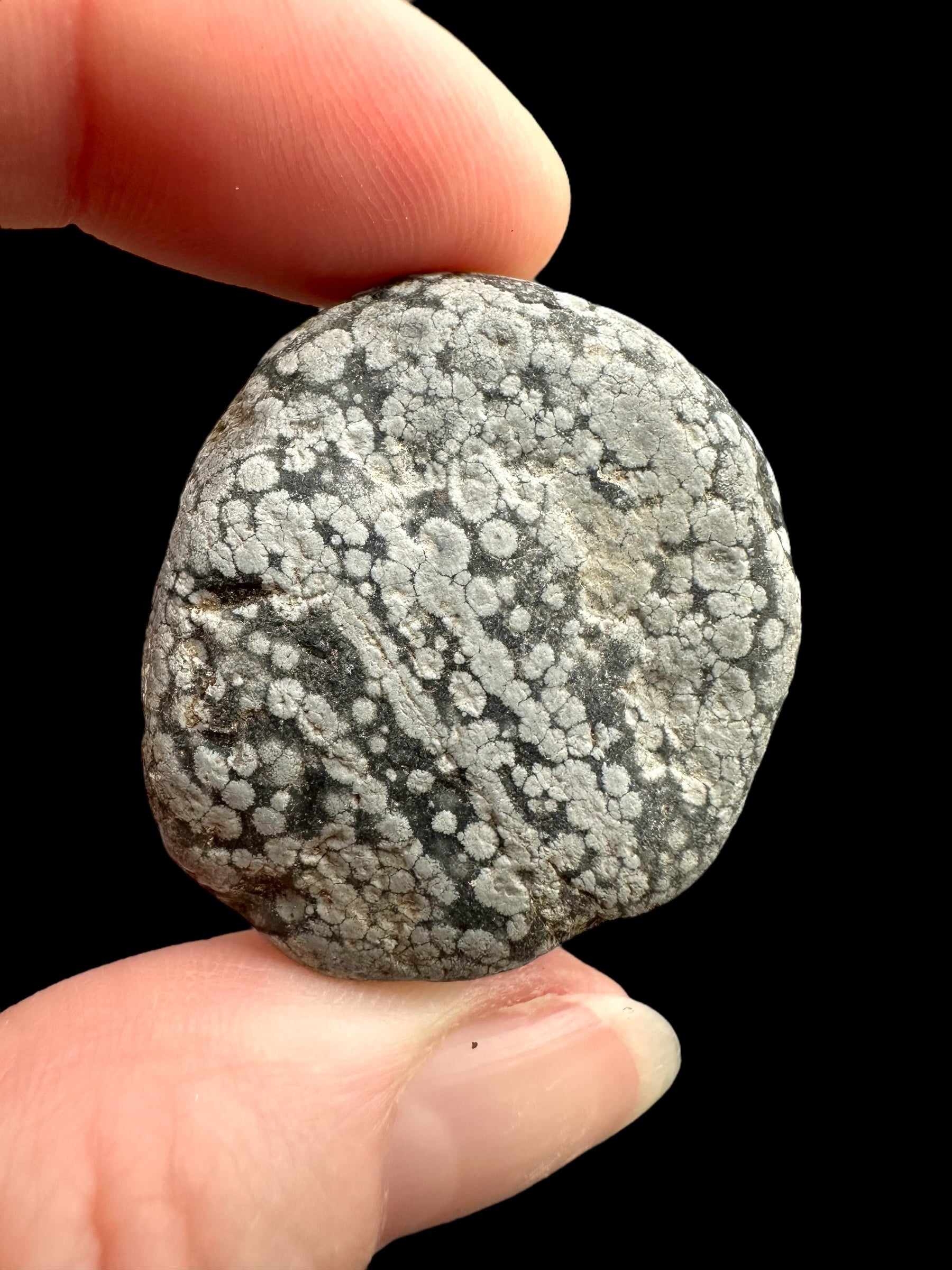Javan flake obsidian 22,3g – Java, Indonesia - VO020