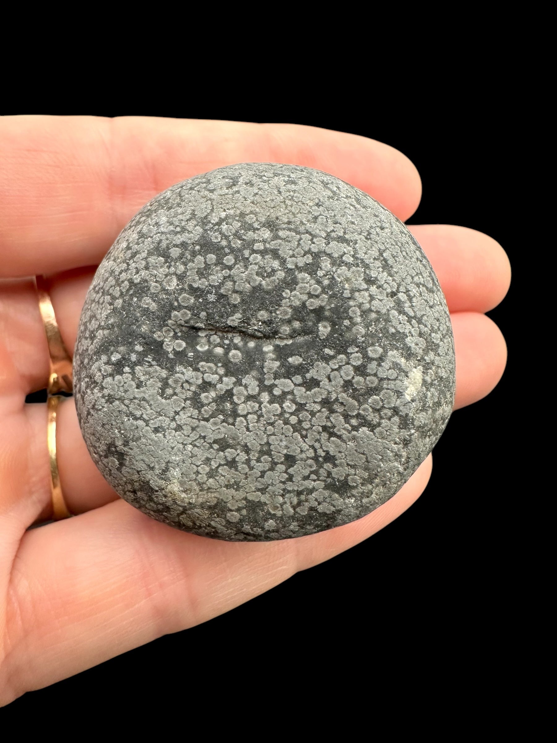 Javan flake obsidian 58,2g – Java, Indonesia