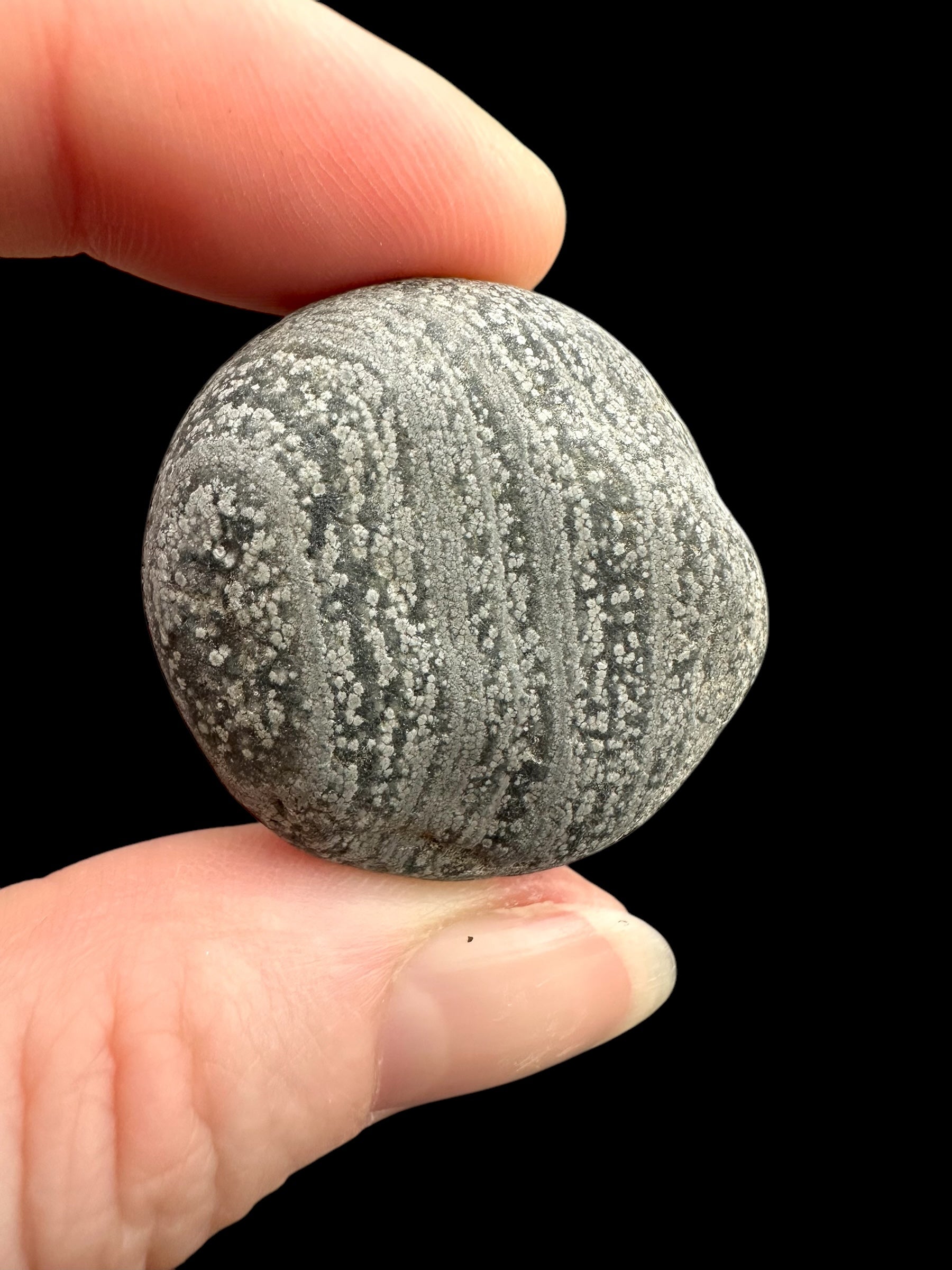 Javan flake obsidian 19,2g – Java, Indonesia - VO024