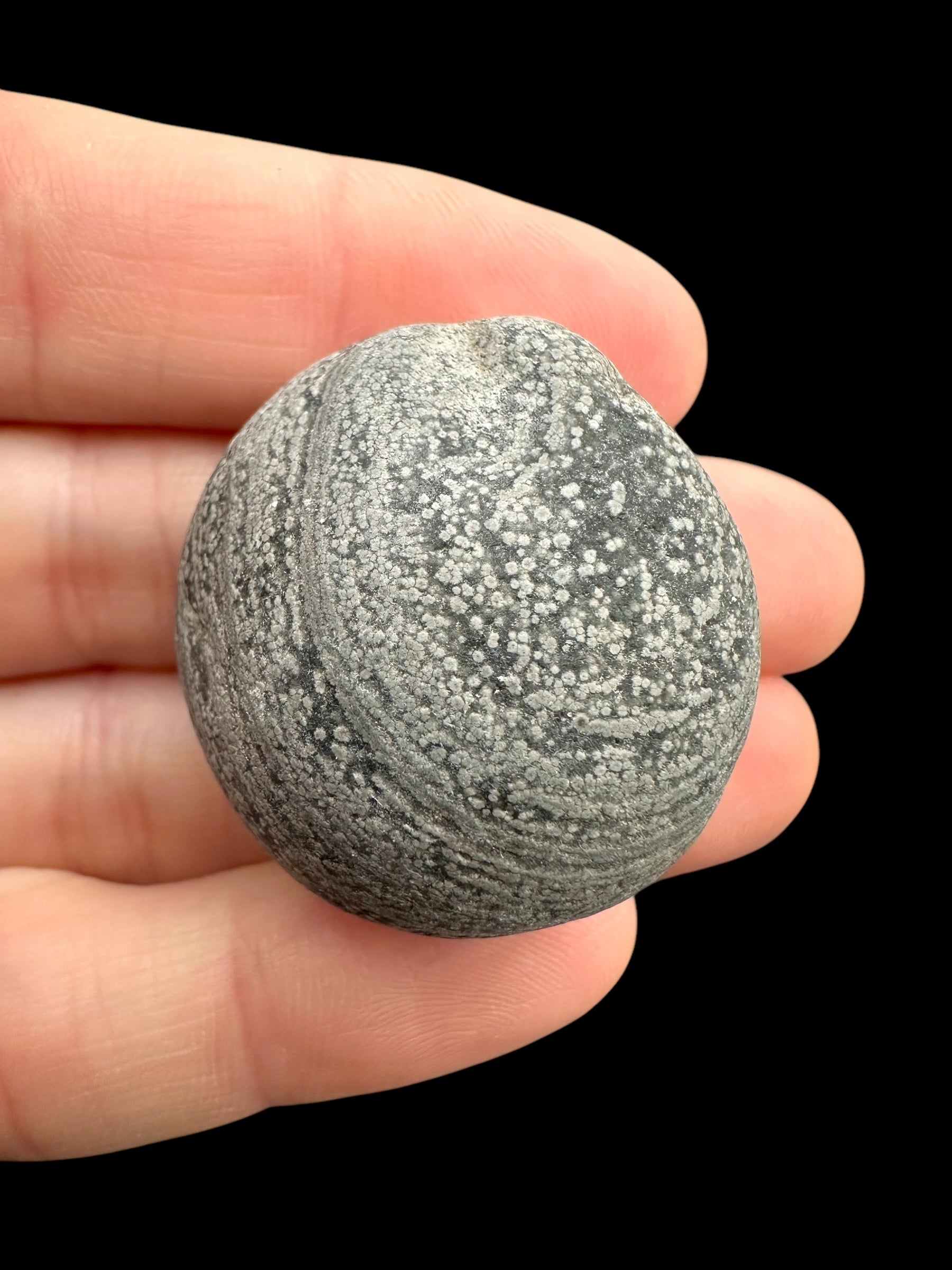 Javan flake obsidian 19,2g – Java, Indonesia