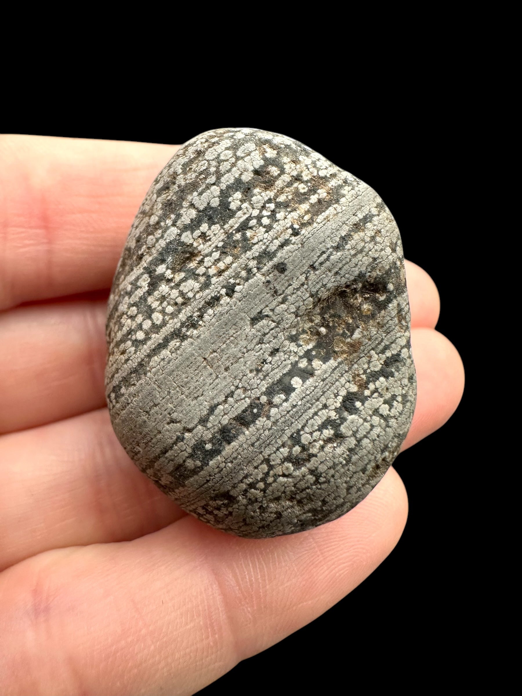Javan flake obsidian 25,4g – Java, Indonesia - VO029
