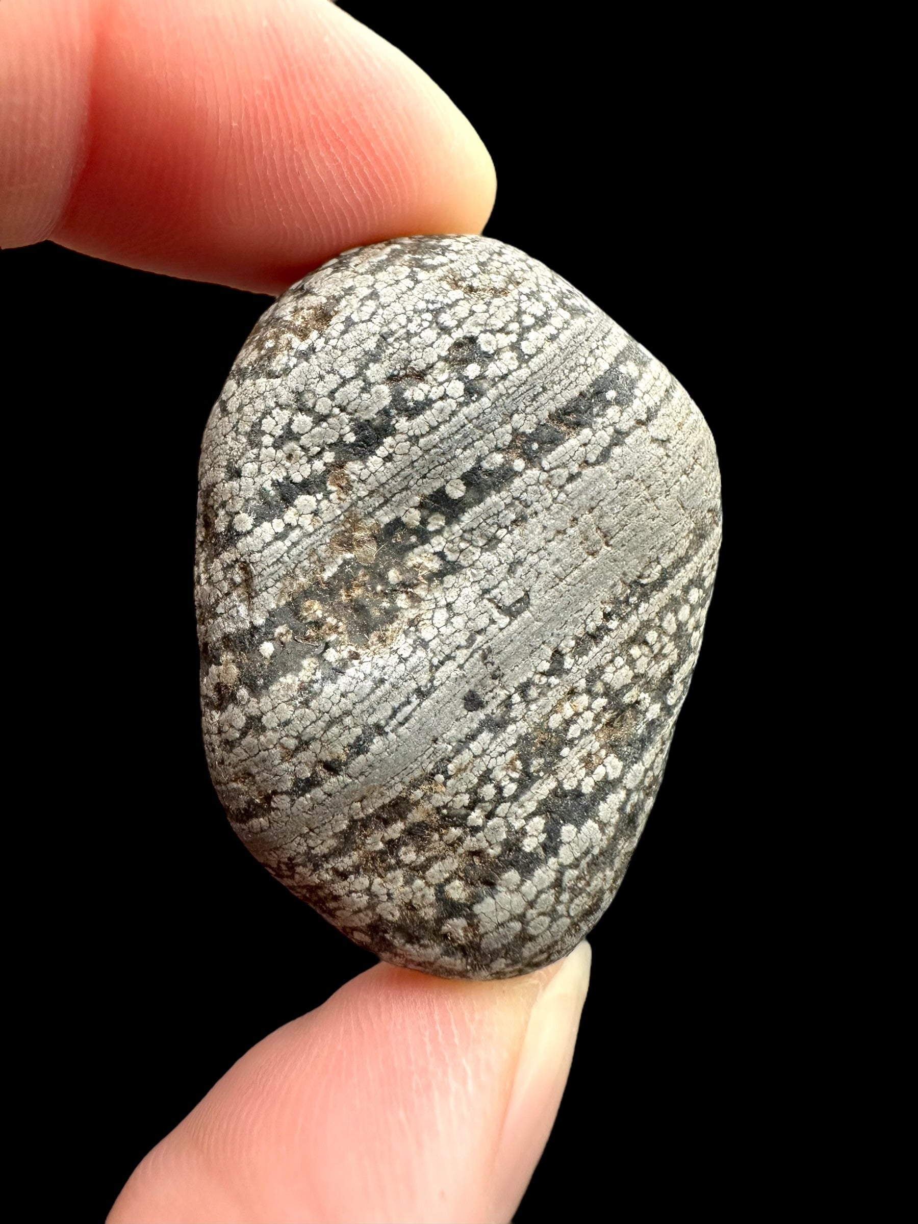Javan flake obsidian 25,4g – Java, Indonesia - VO029