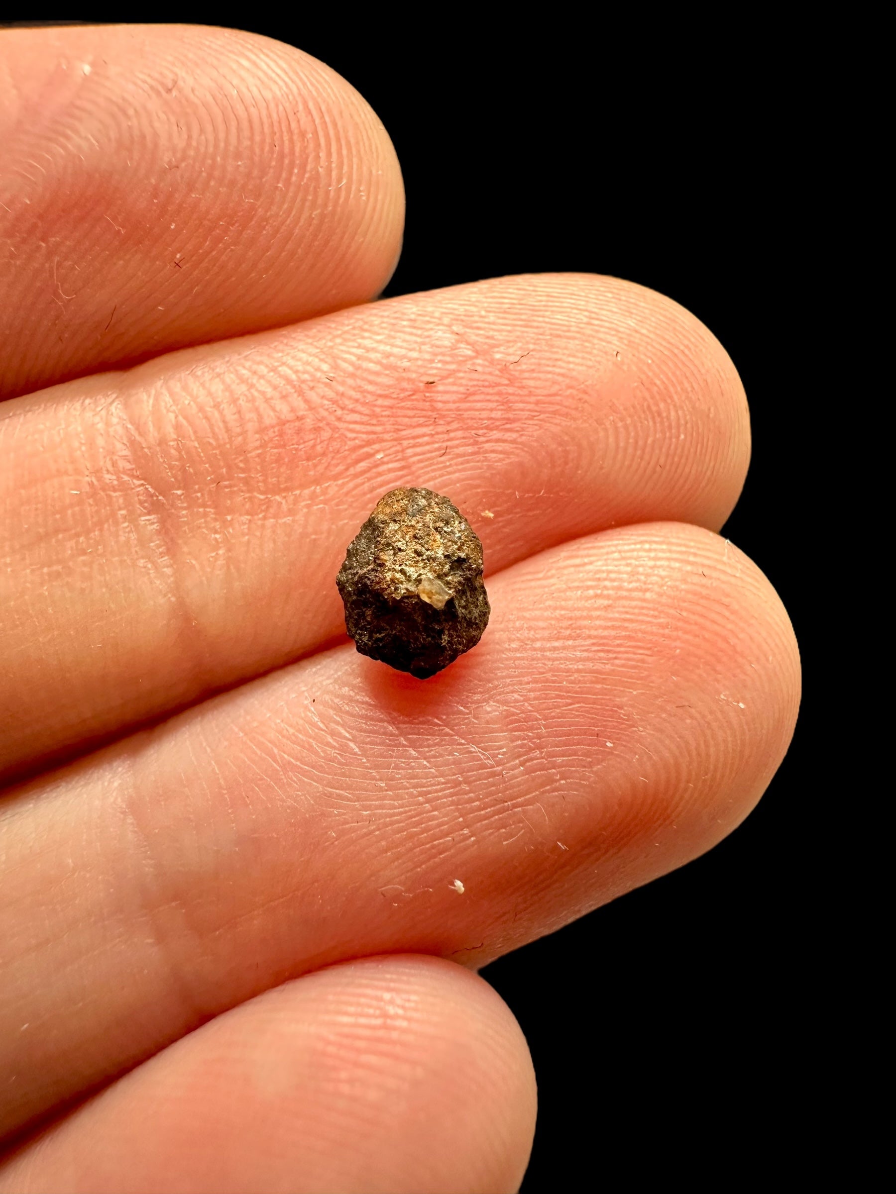 Meteorite Gujba 0,3g – Nigeria - MEGU02