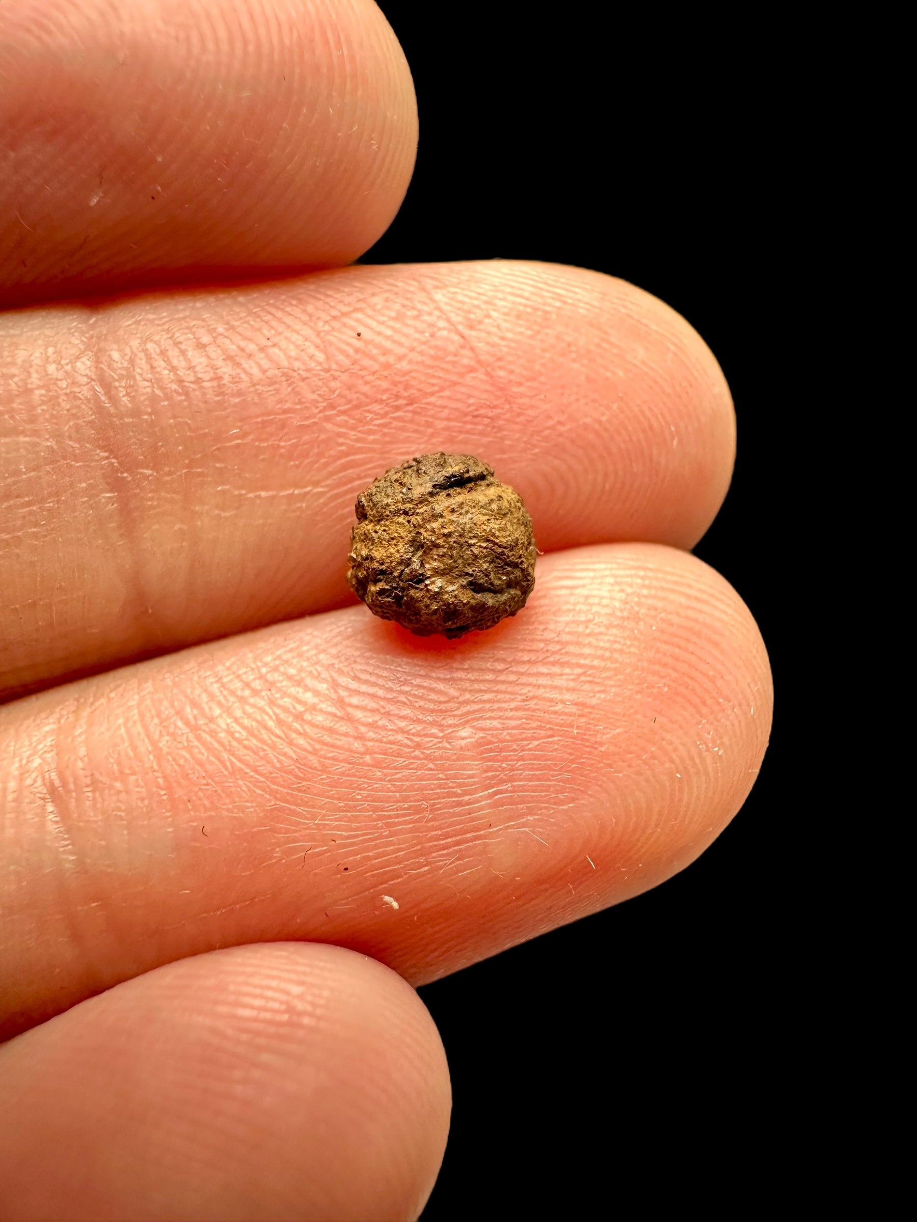 Meteorite Gujba 0,44g – Nigeria - MEGU05