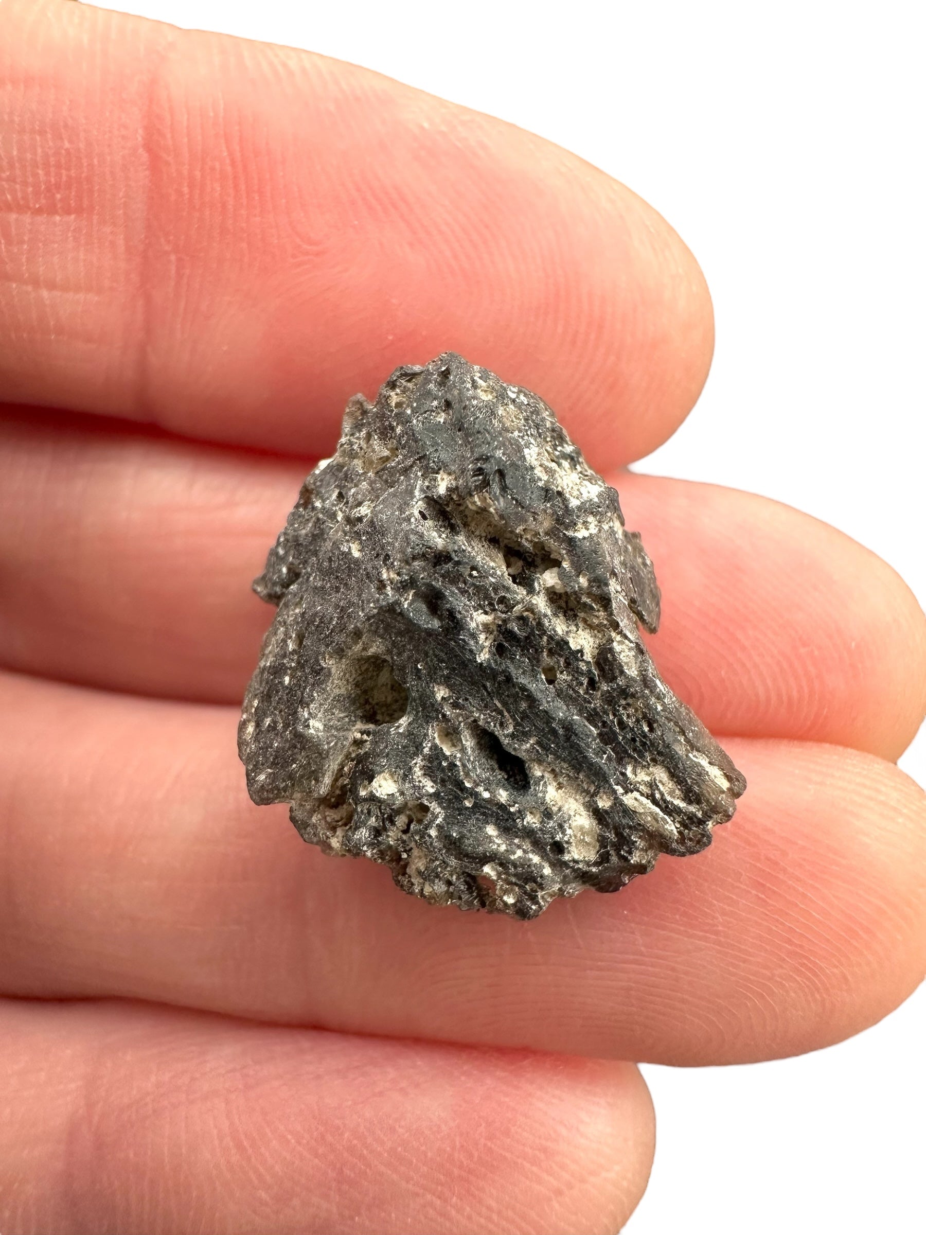Darwin glass 2g – Queenstown, Tasmania