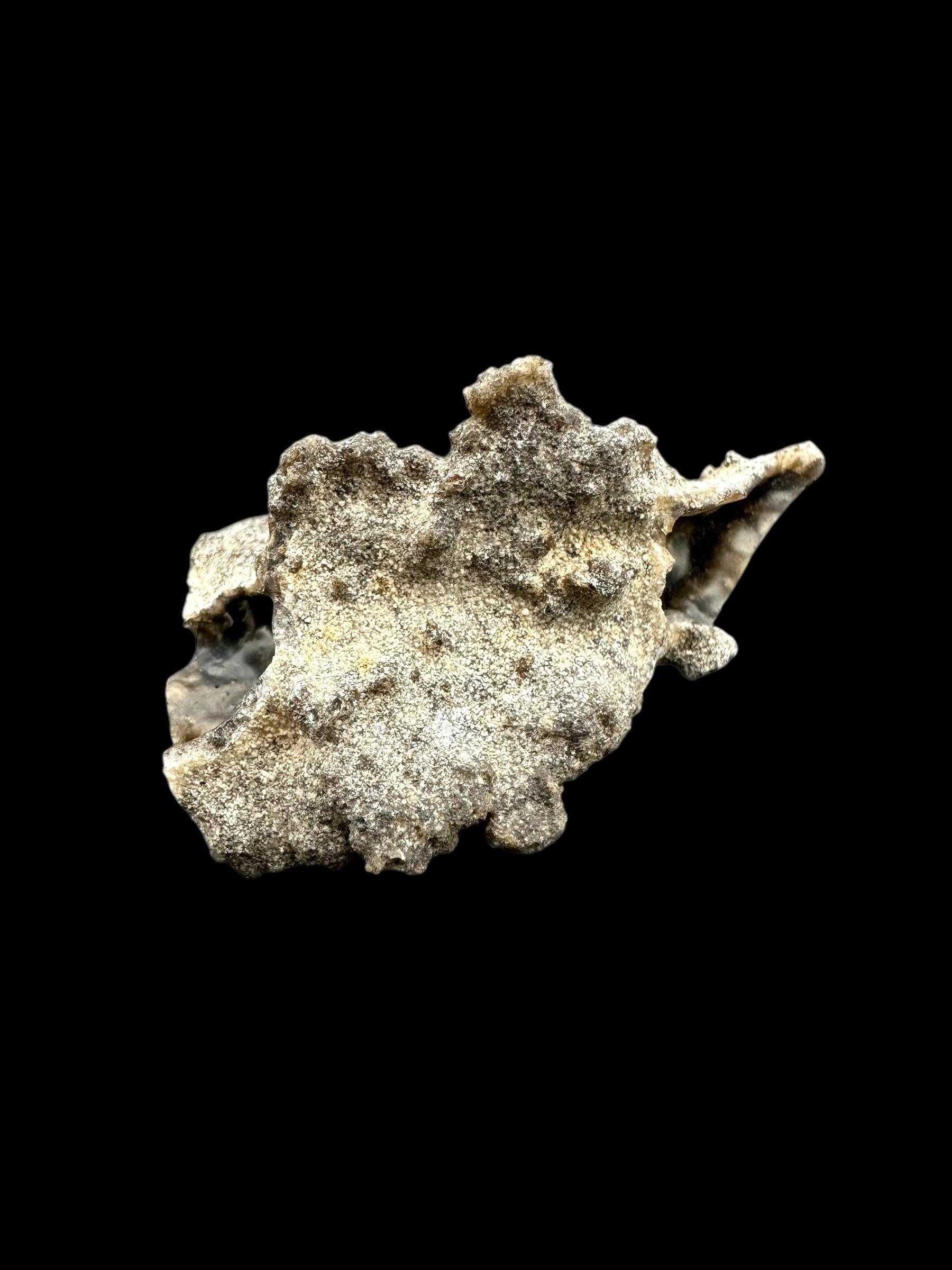 Fulgurite 3,9g – Libyan desert, Egypt - FU036