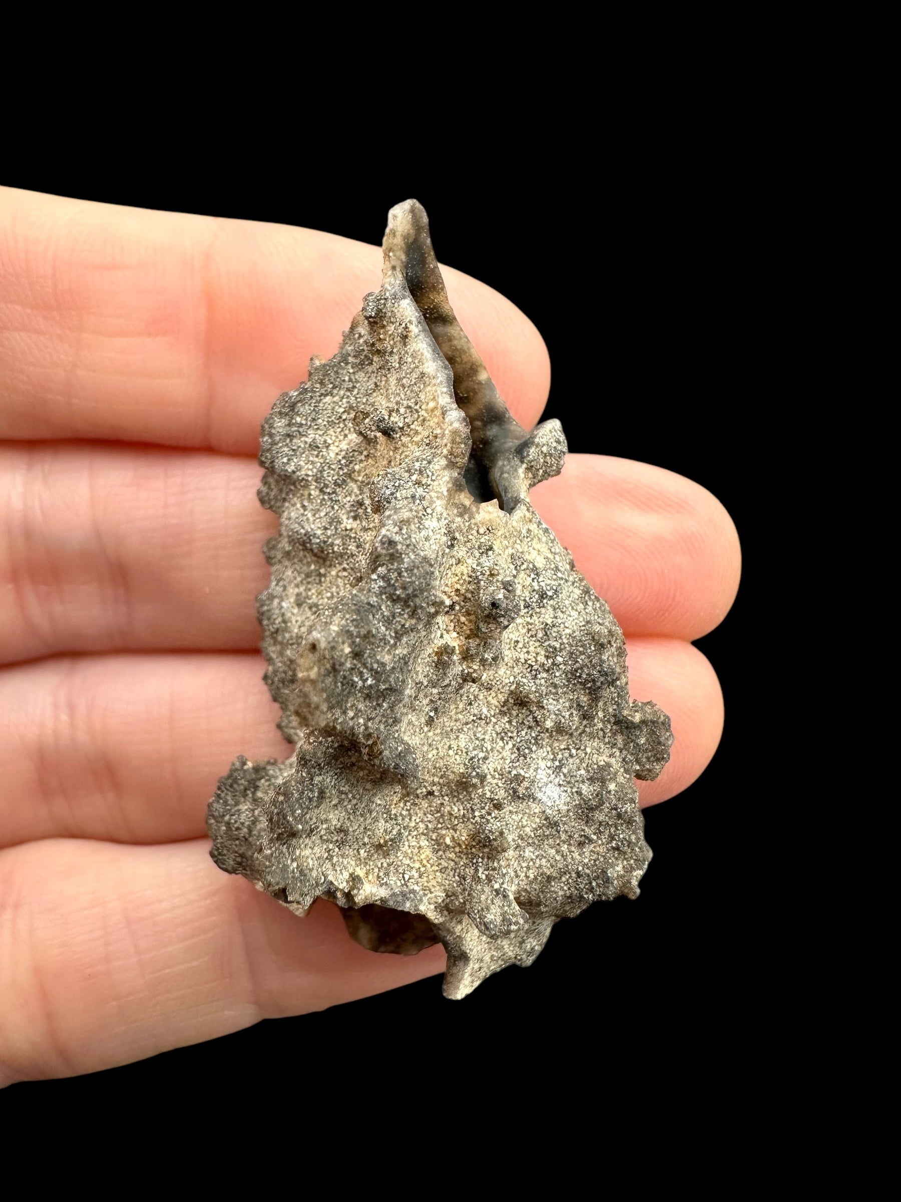 Fulgurite 3,9g – Libyan desert, Egypt