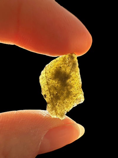 Darwin Glass