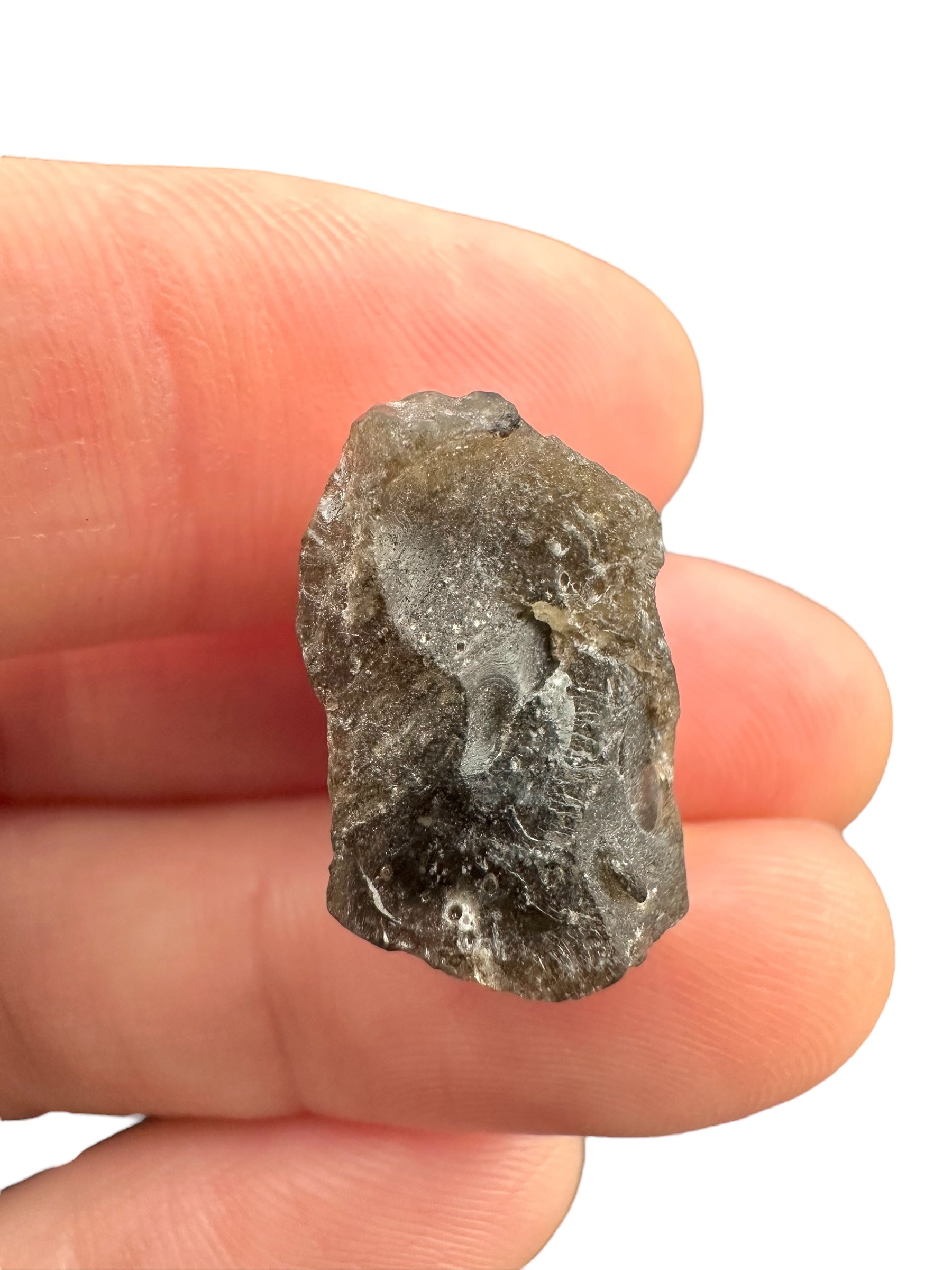 Darwin glass 2,2g – Queenstown, Tasmania - DW071
