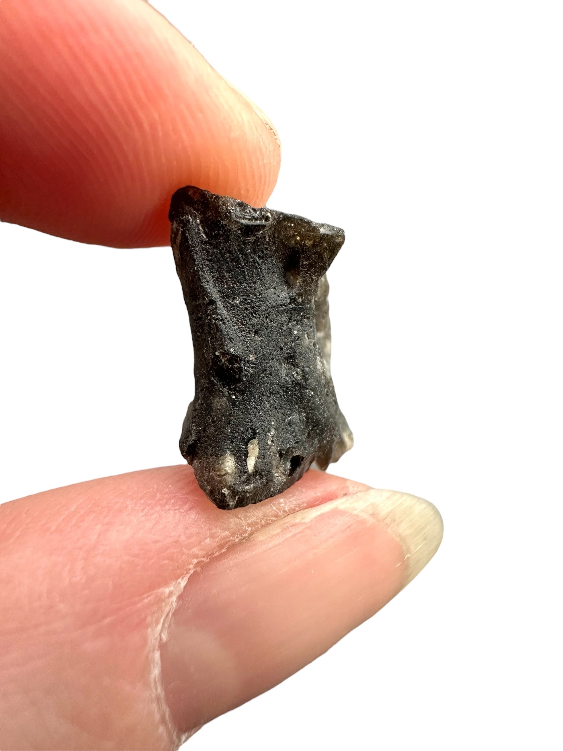 Darwin glass 1,6g – Queenstown, Tasmania - DW084