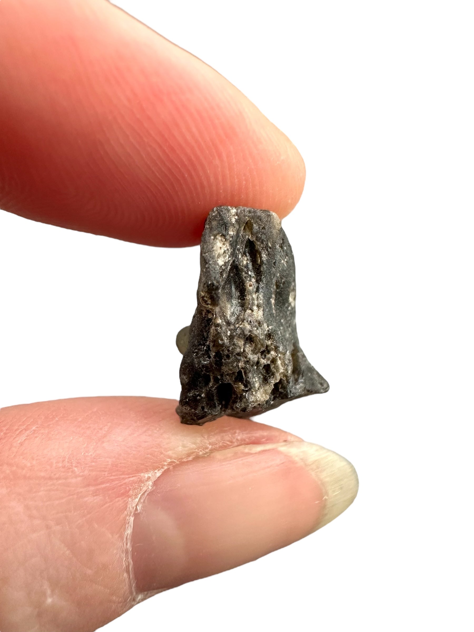 Darwin glass 1,6g – Queenstown, Tasmania - DW084