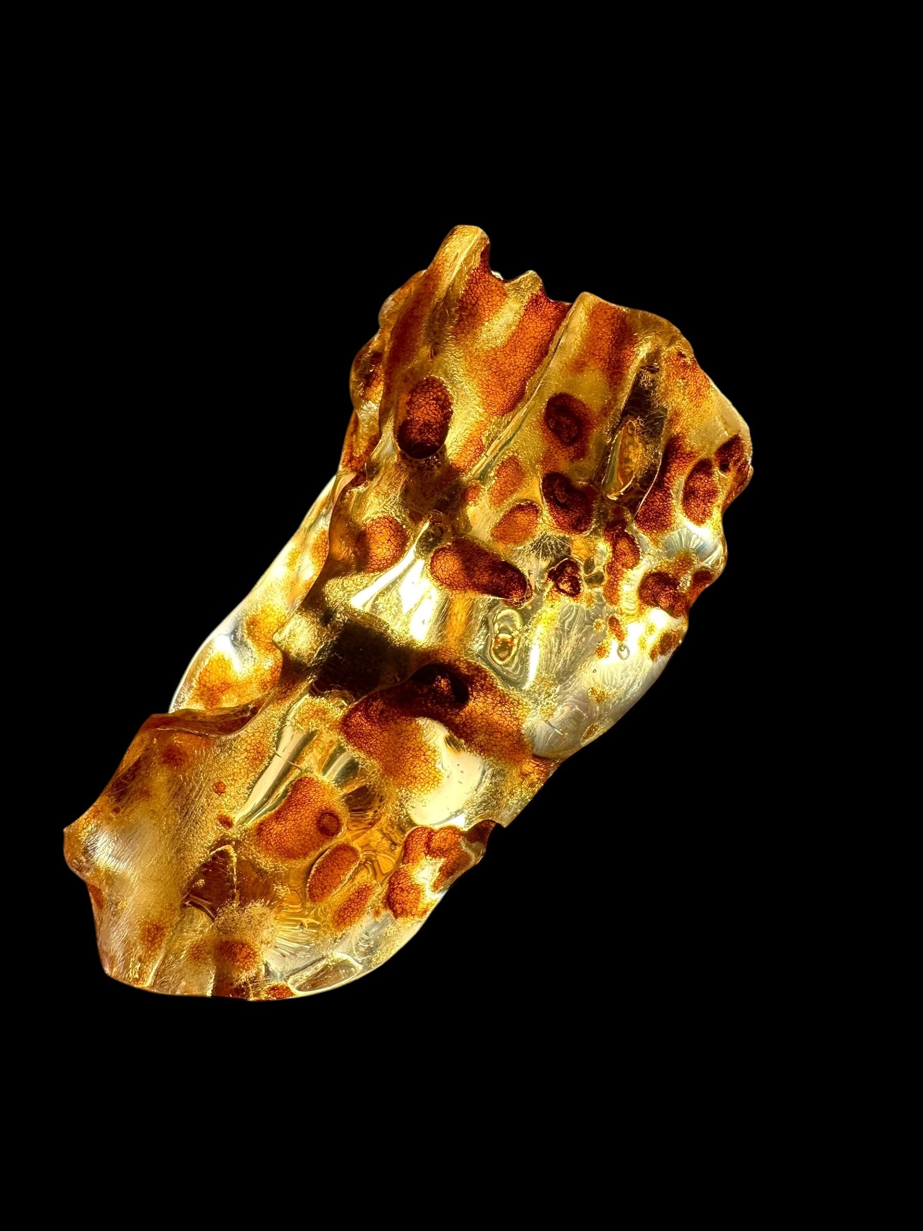 Young Amber (Copal) – Colombia - JN189