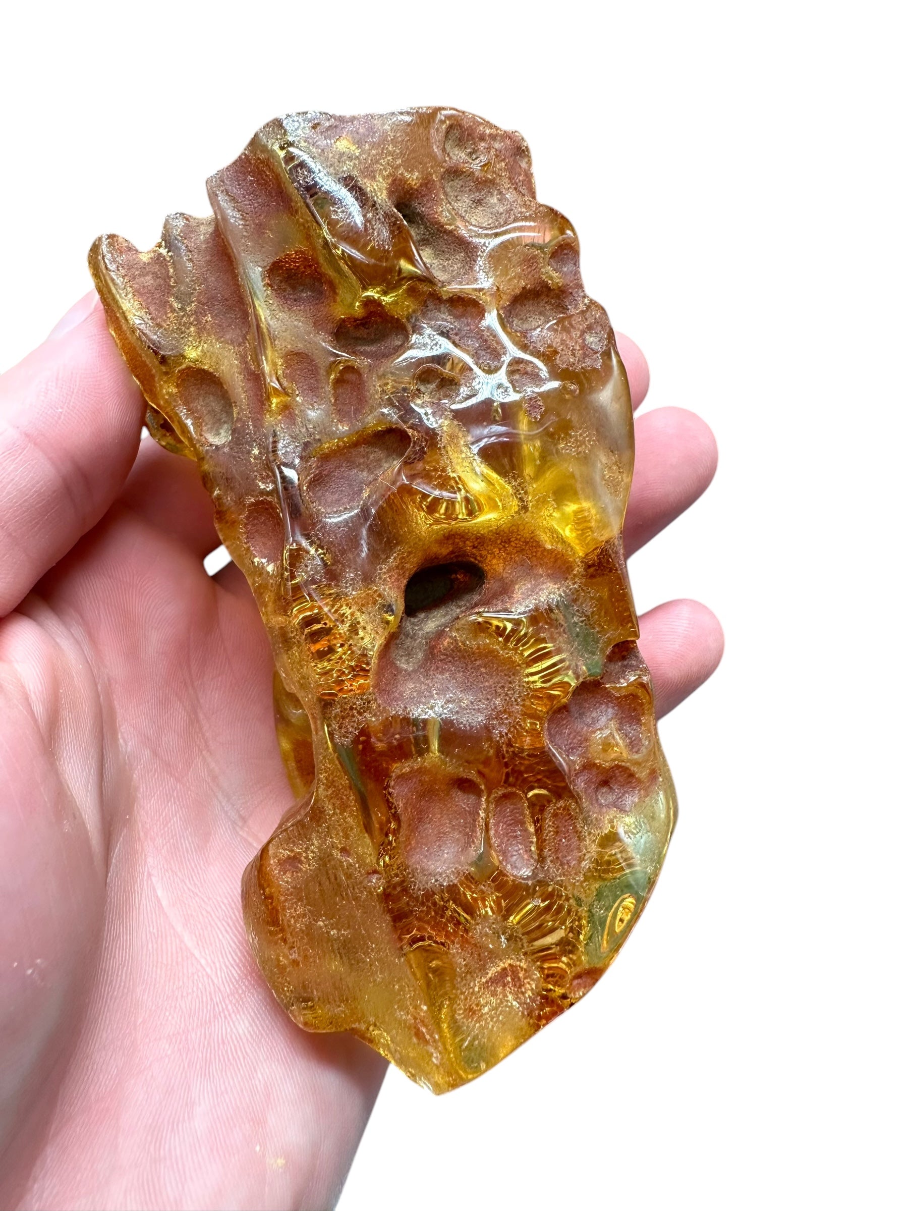Young Amber (Copal) – Colombia