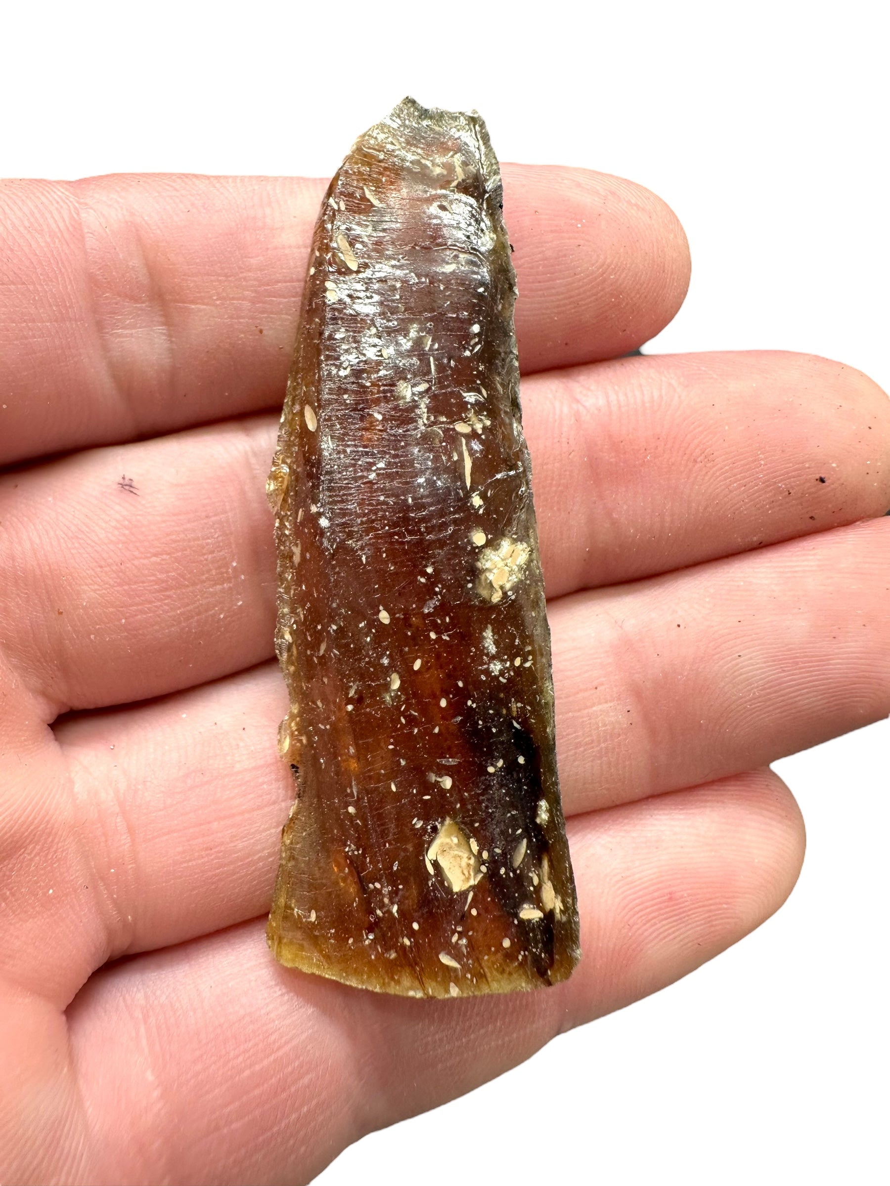 Raw amber – Sumatra, Indonesia - JNI14