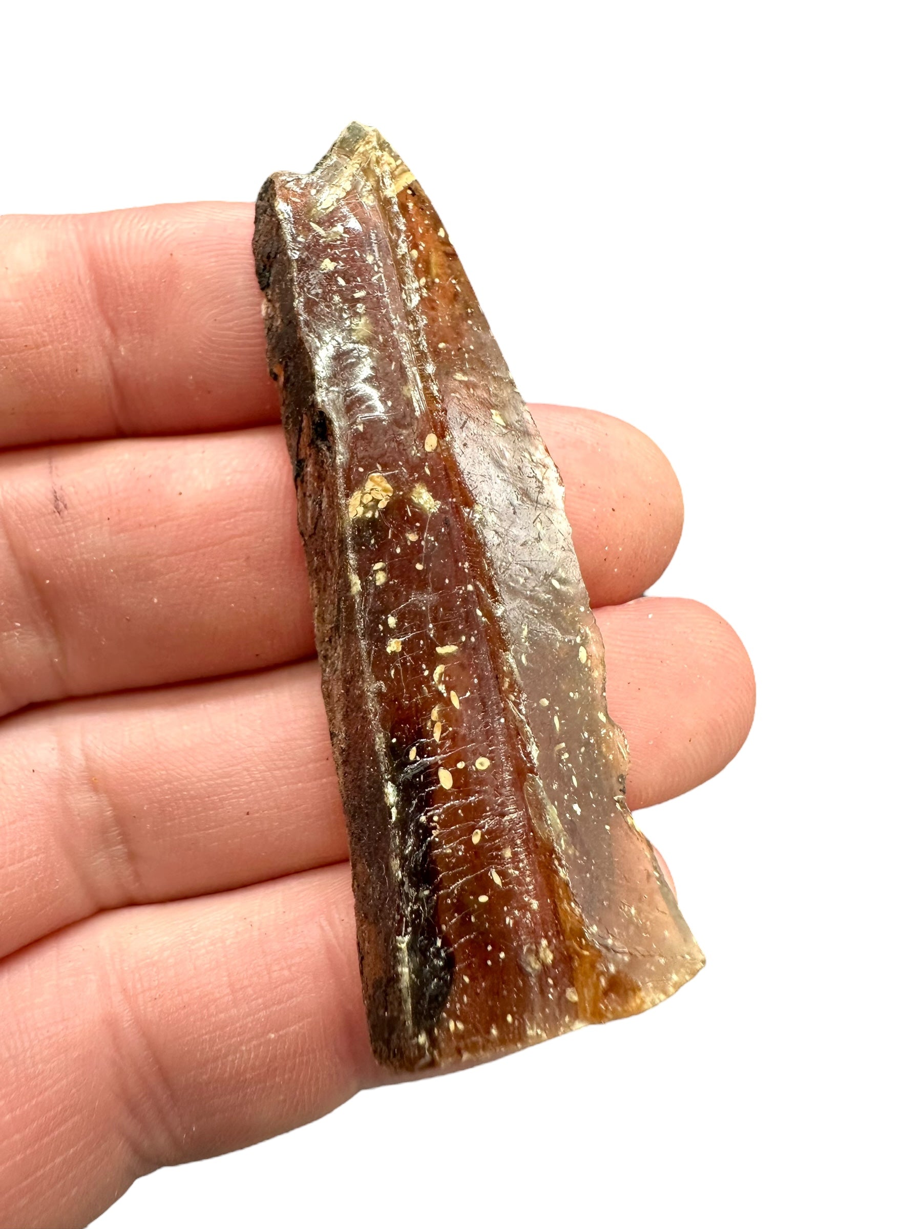 Raw amber – Sumatra, Indonesia