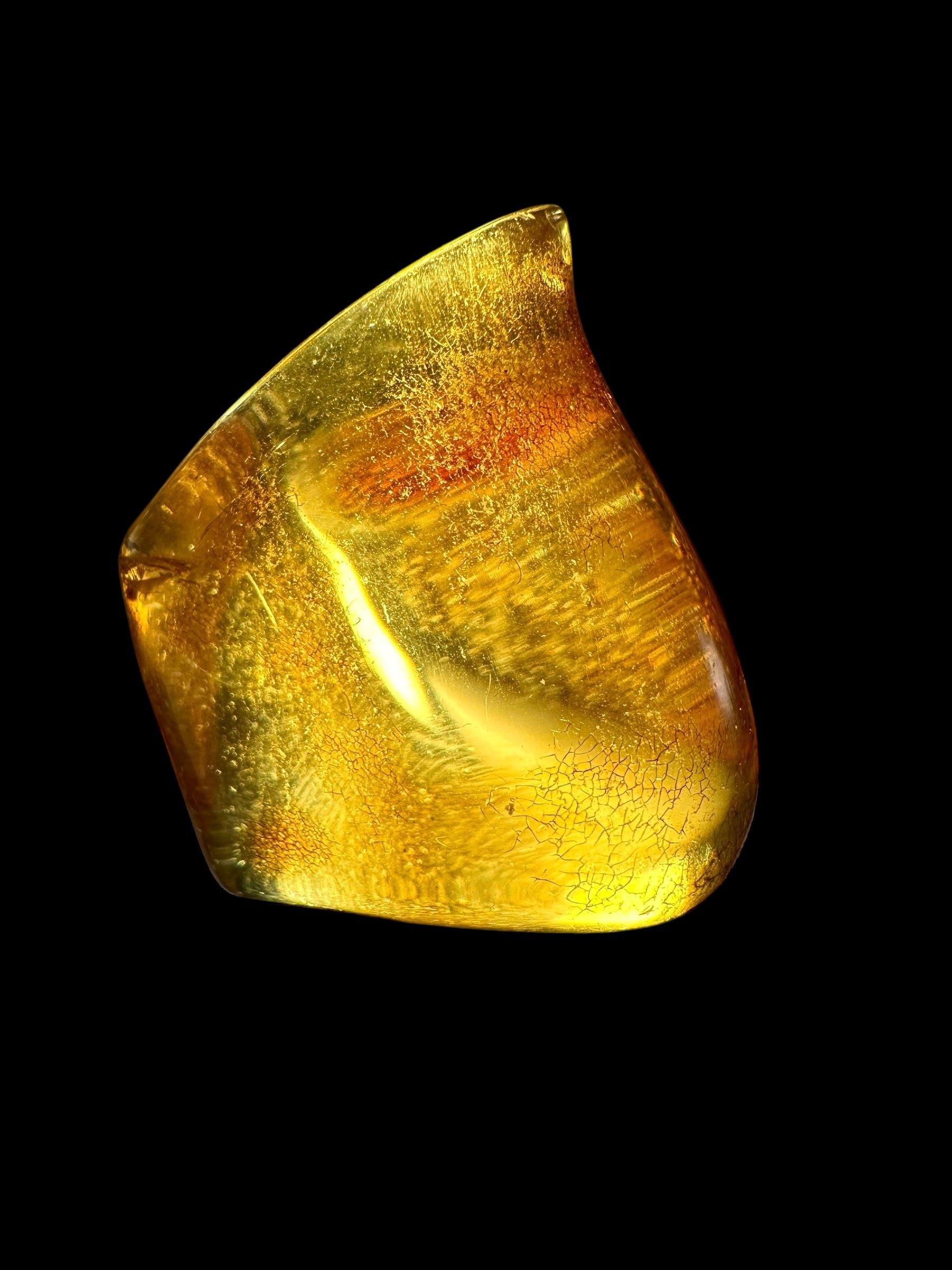 Young Amber (Copal) – Colombia - JN206