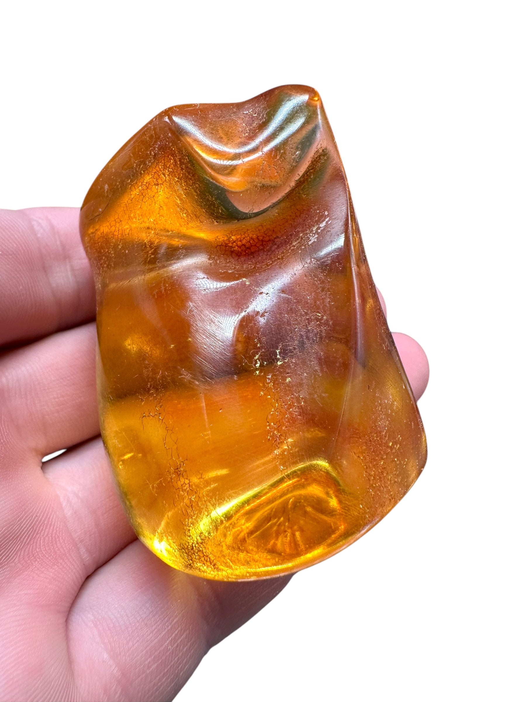 Young Amber (Copal) – Colombia
