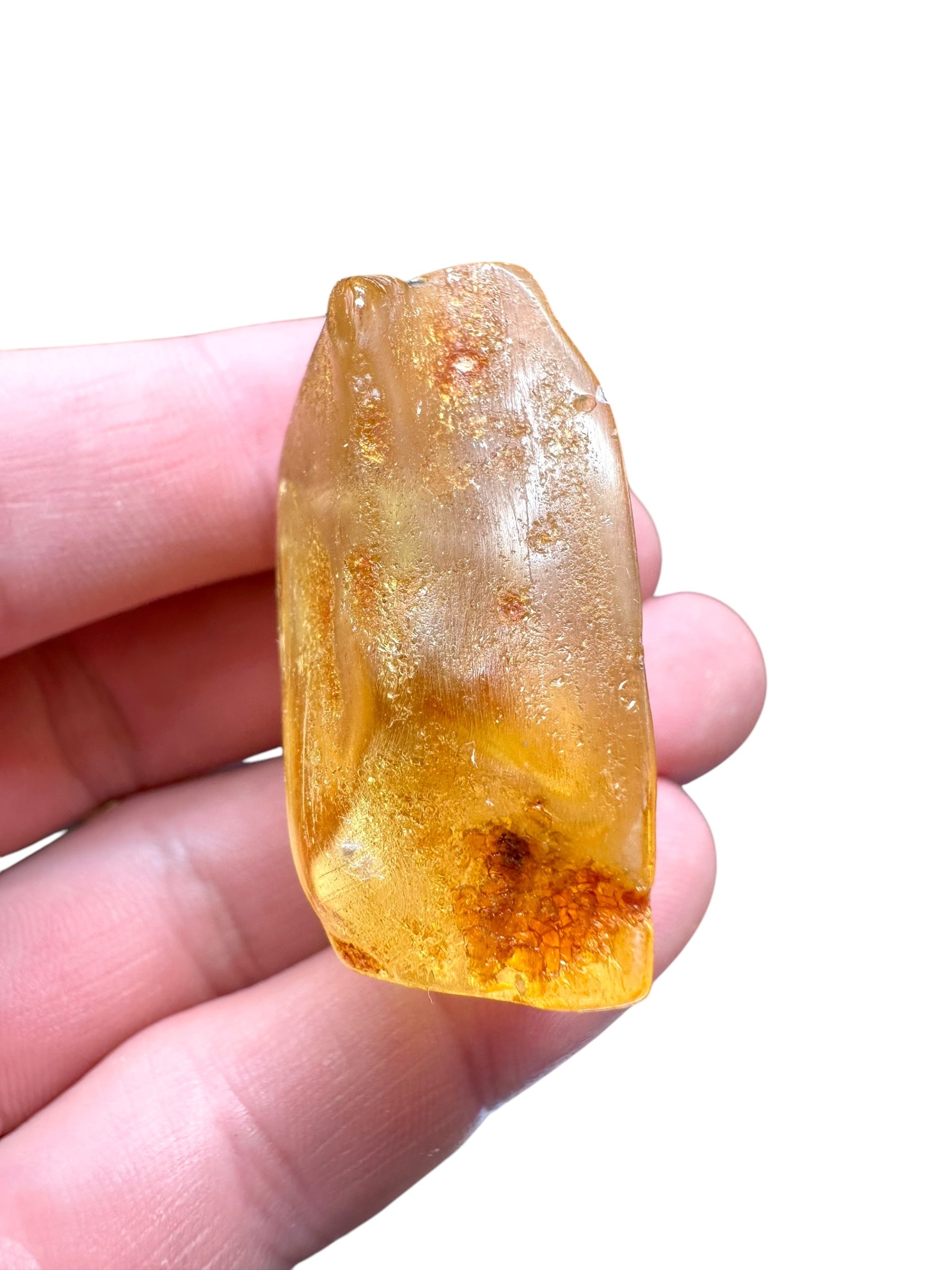 Young Amber (Copal) – Colombia - JN207