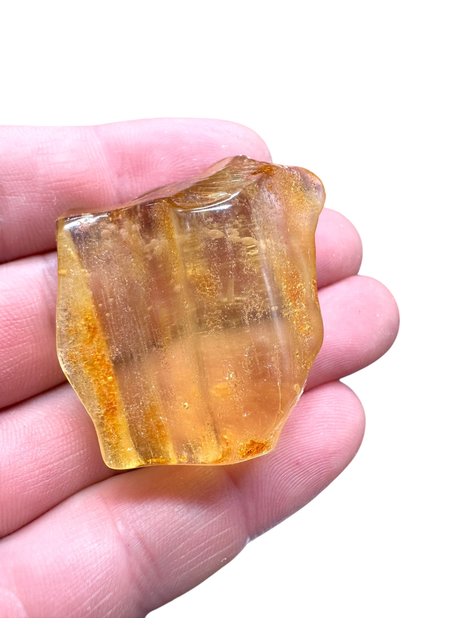 Young Amber (Copal) – Colombia