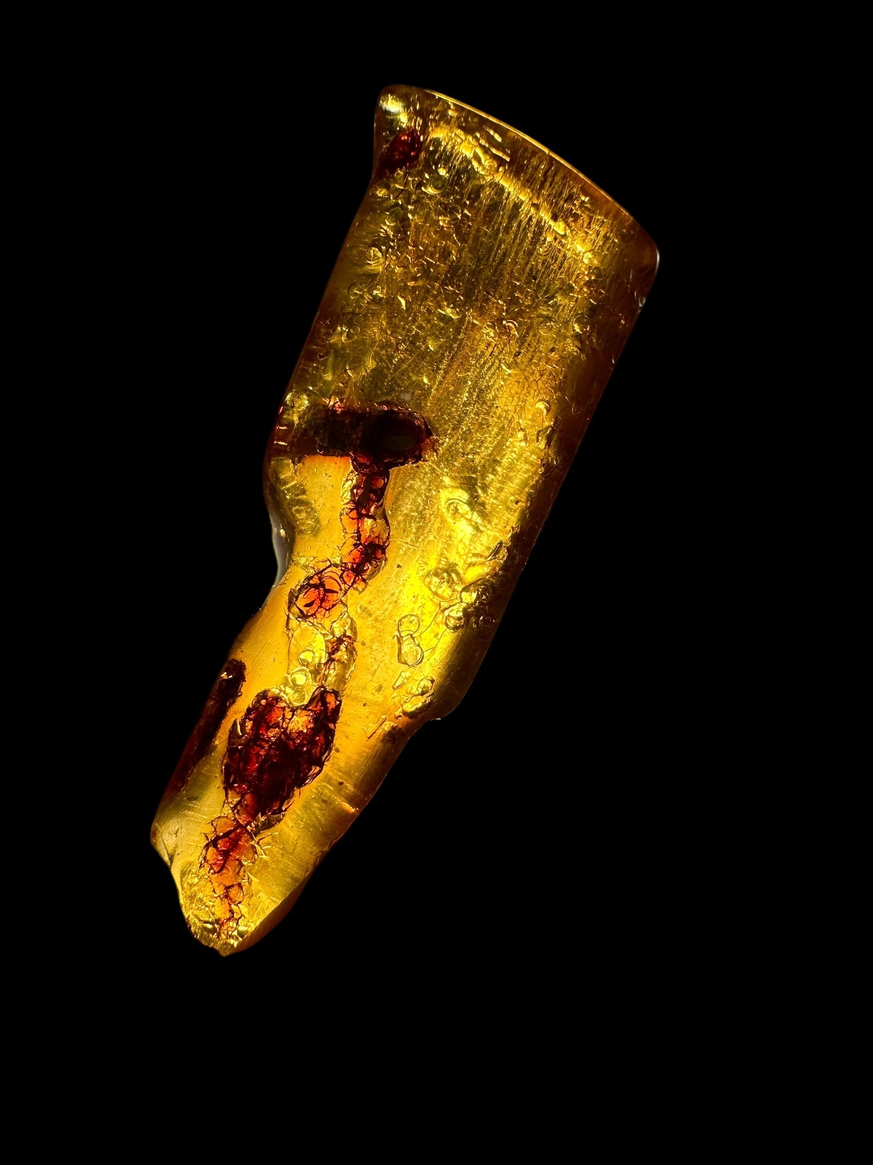 Young Amber (Copal) – Colombia - JN208
