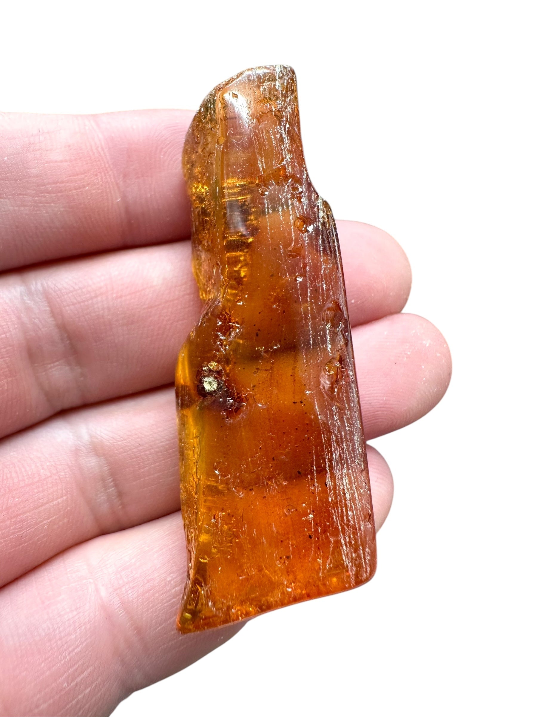 Young Amber (Copal) – Colombia