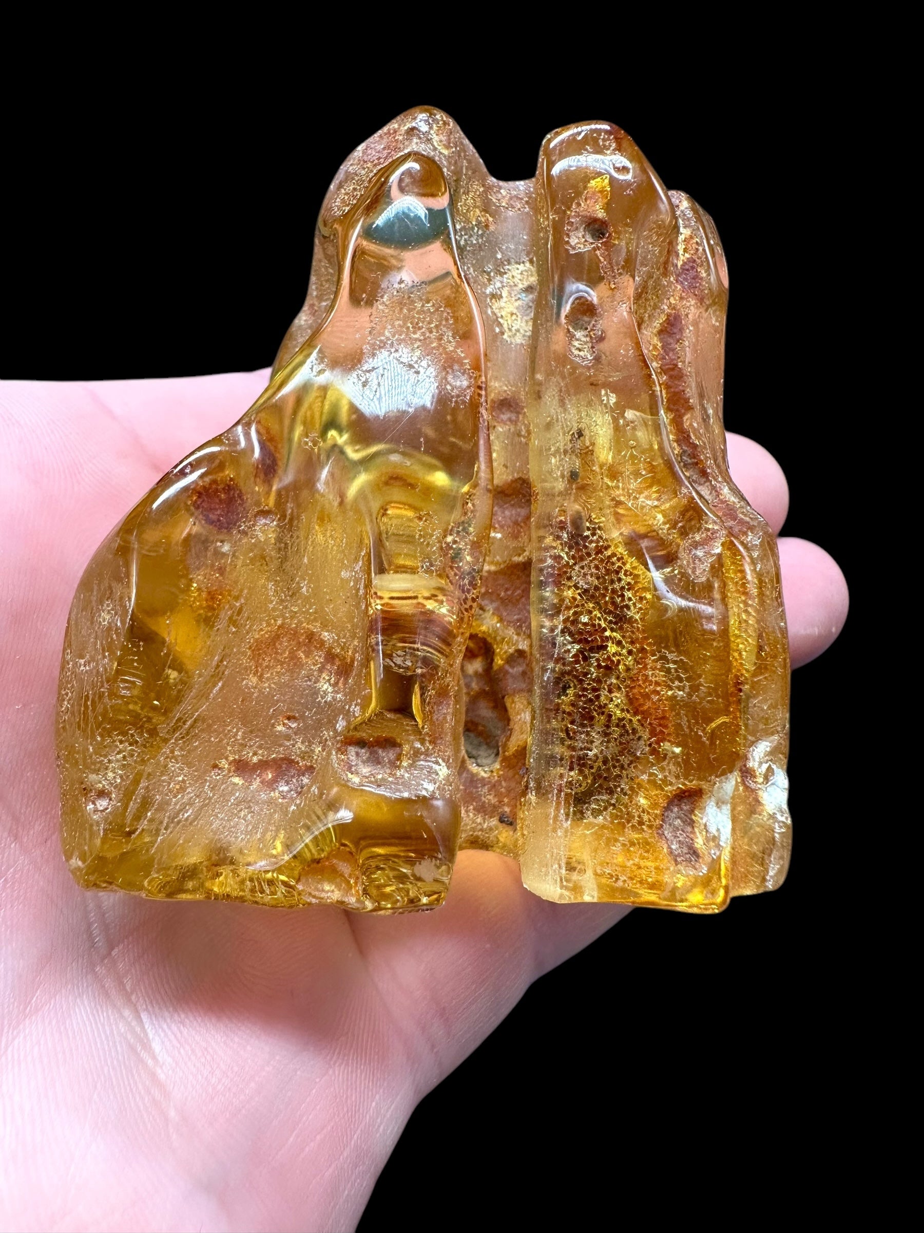 Young Amber (Copal) – Colombia - JN211