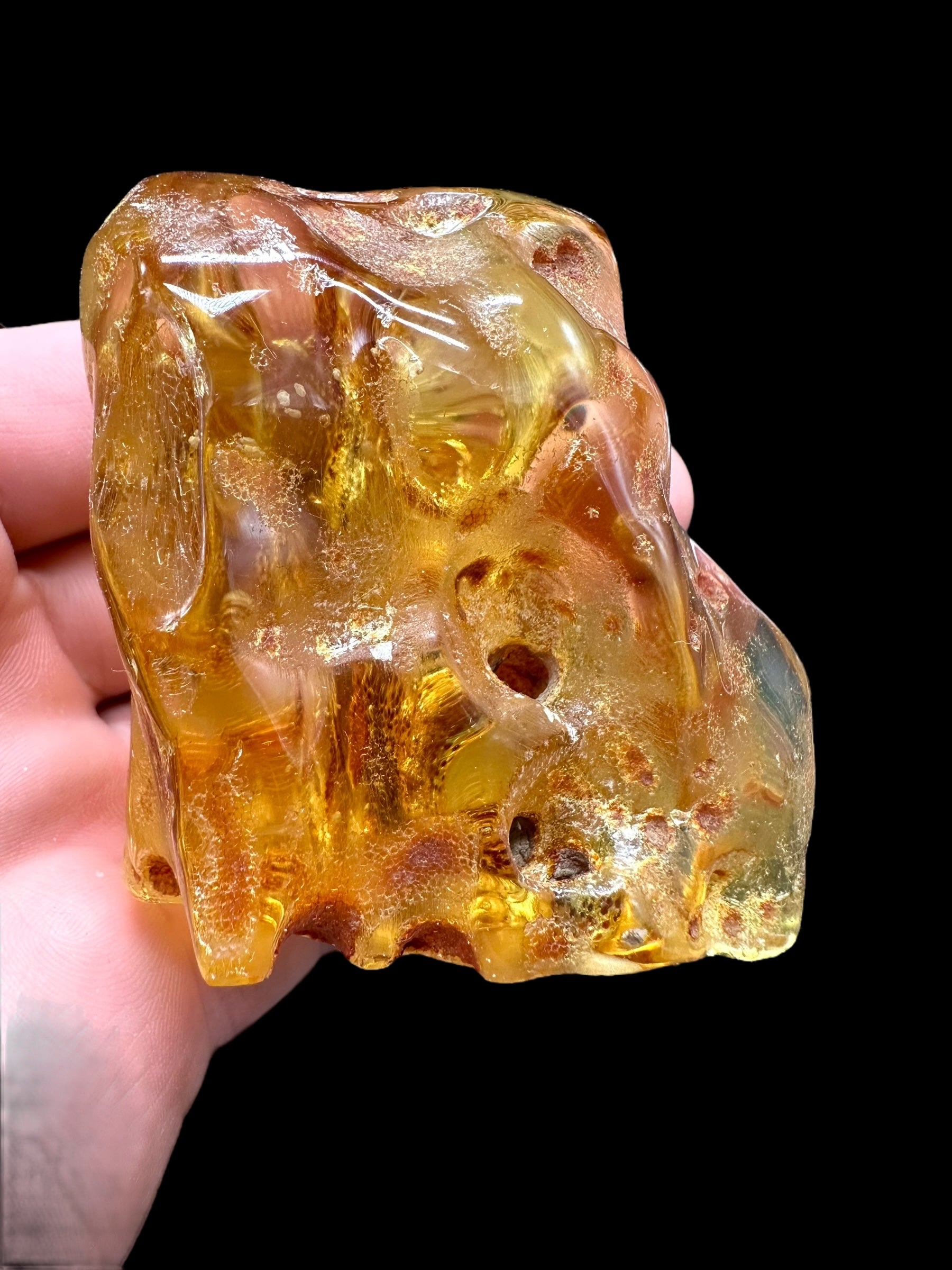 Young Amber (Copal) – Colombia
