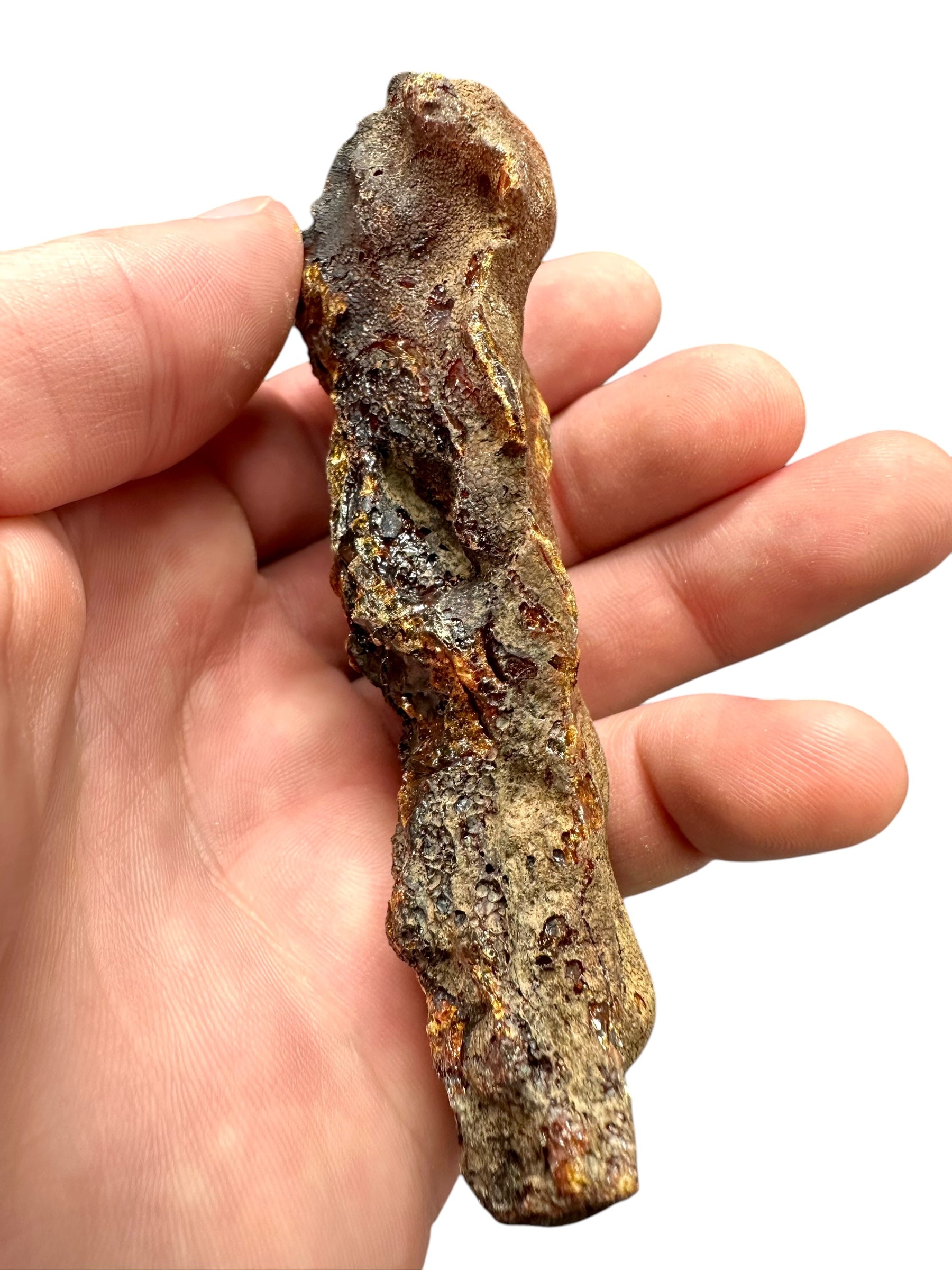 Raw Young Amber (Copal) – Colombia - JN213