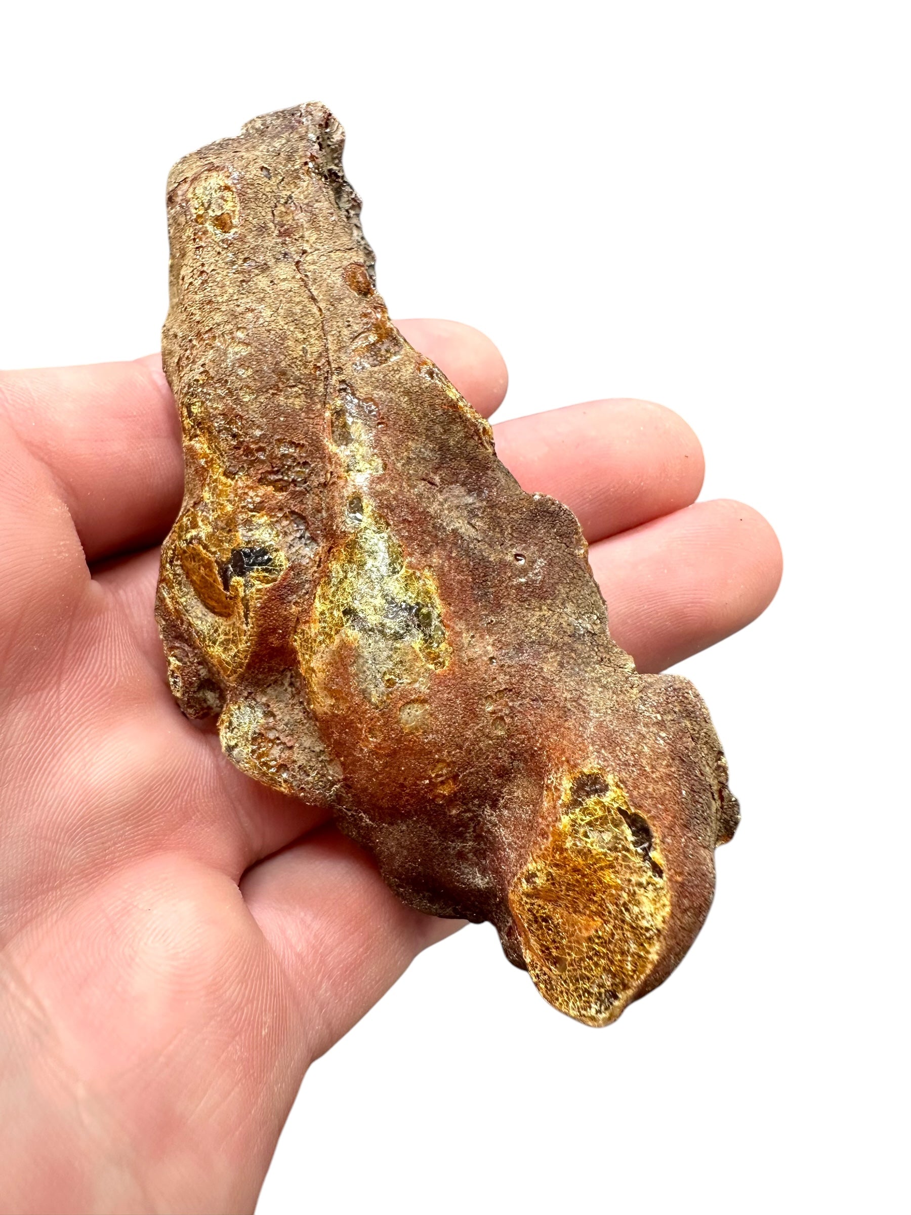 Raw Young Amber (Copal) – Colombia