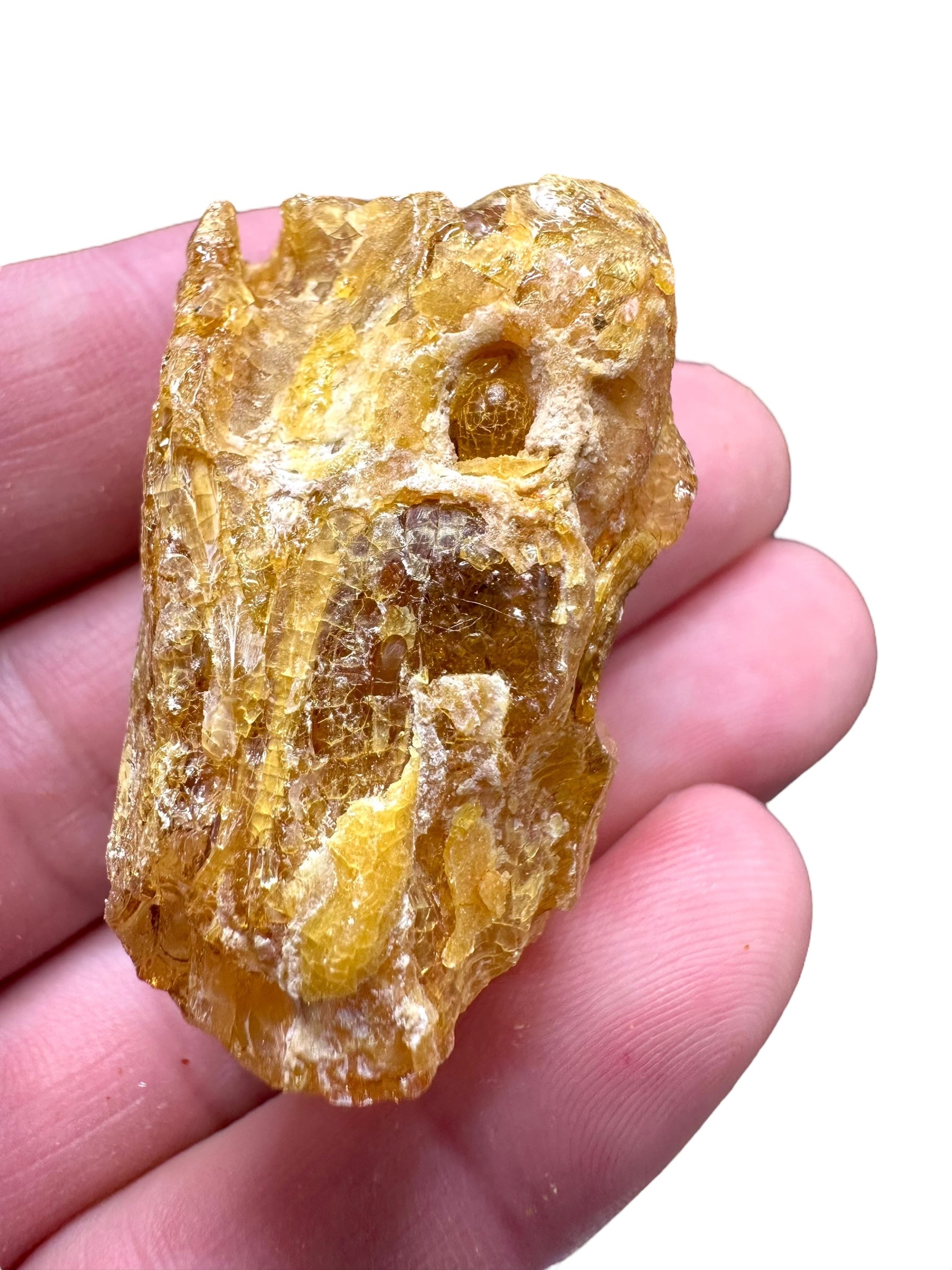 Raw Young Amber (Copal) – Colombia