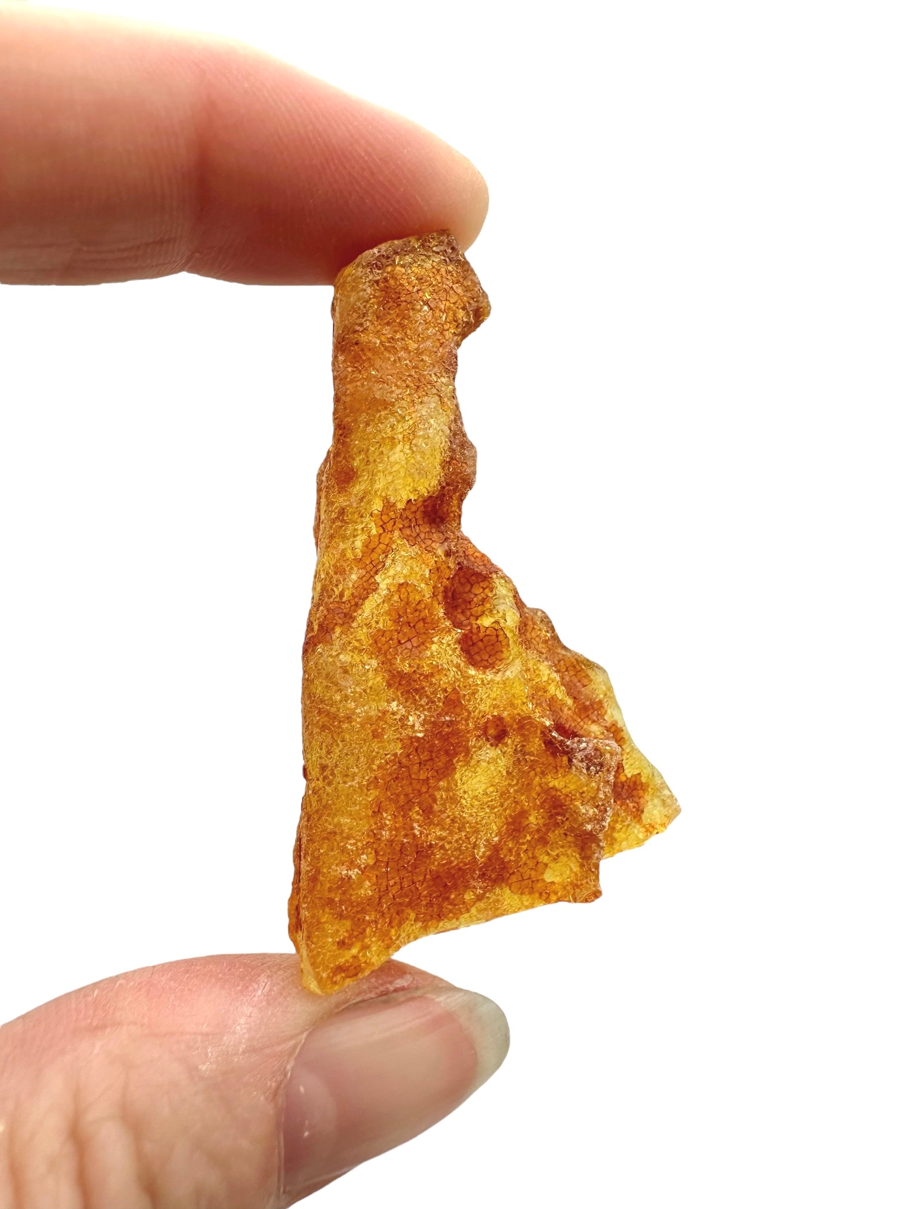 Raw Young Amber (Copal) – Colombia - JN227
