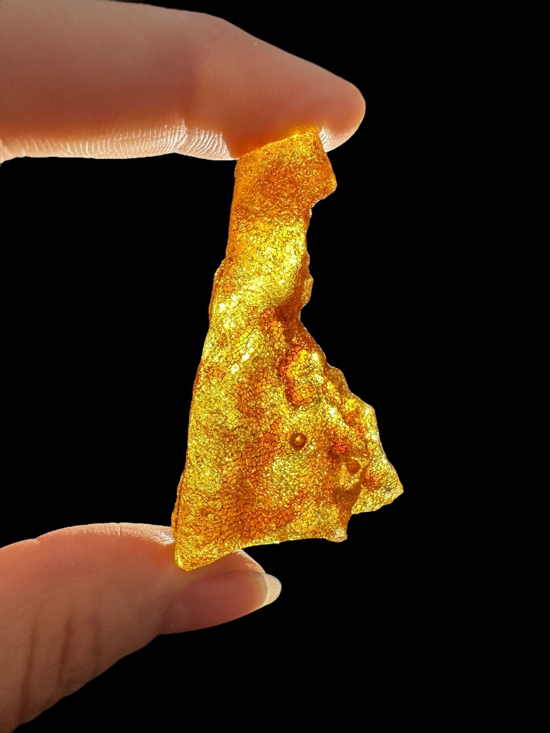Raw Young Amber (Copal) – Colombia - JN227