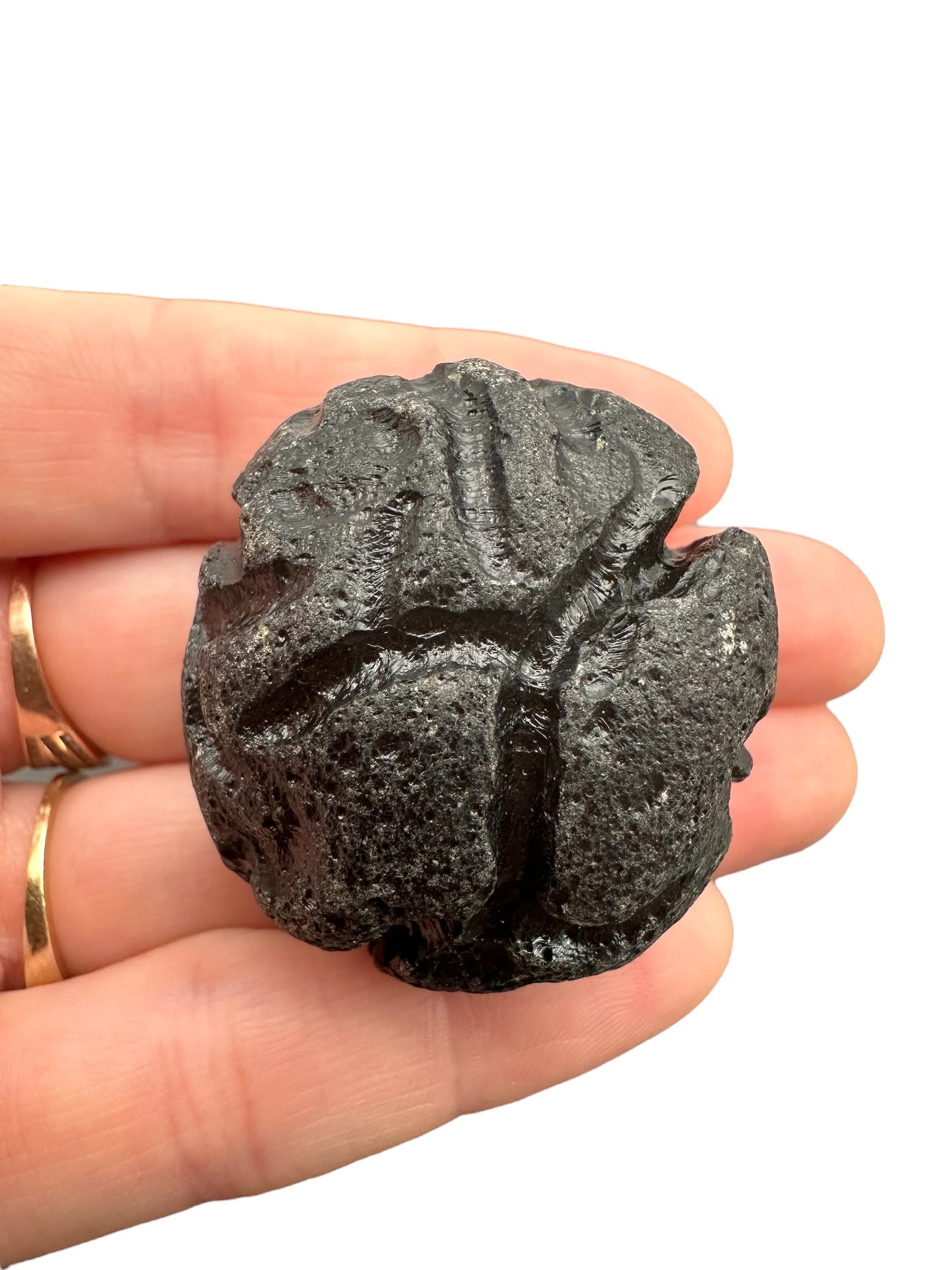 Philippinite 46,6g – Luzon, Philippines