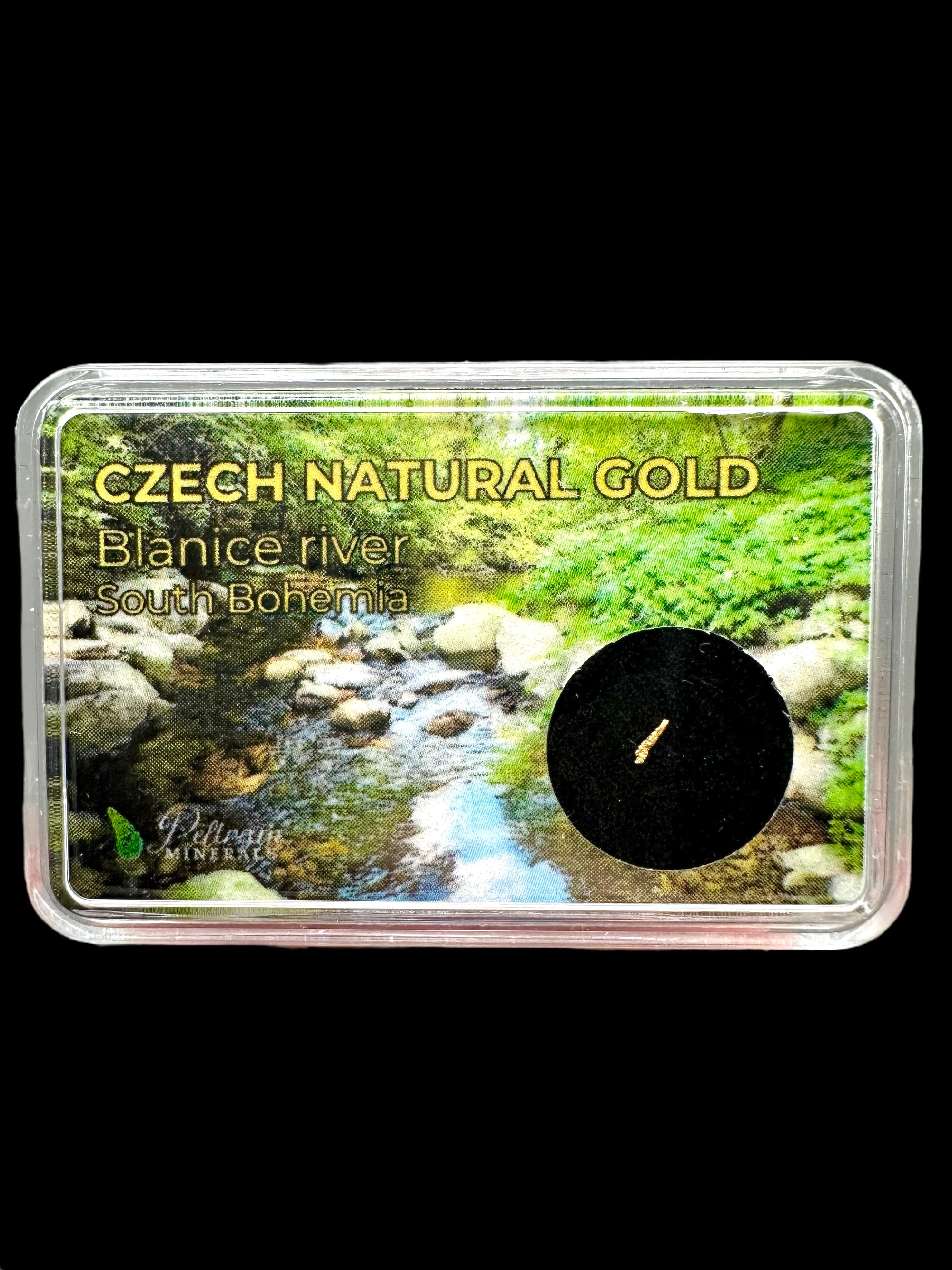 Gold in box – Blanice river, CZ